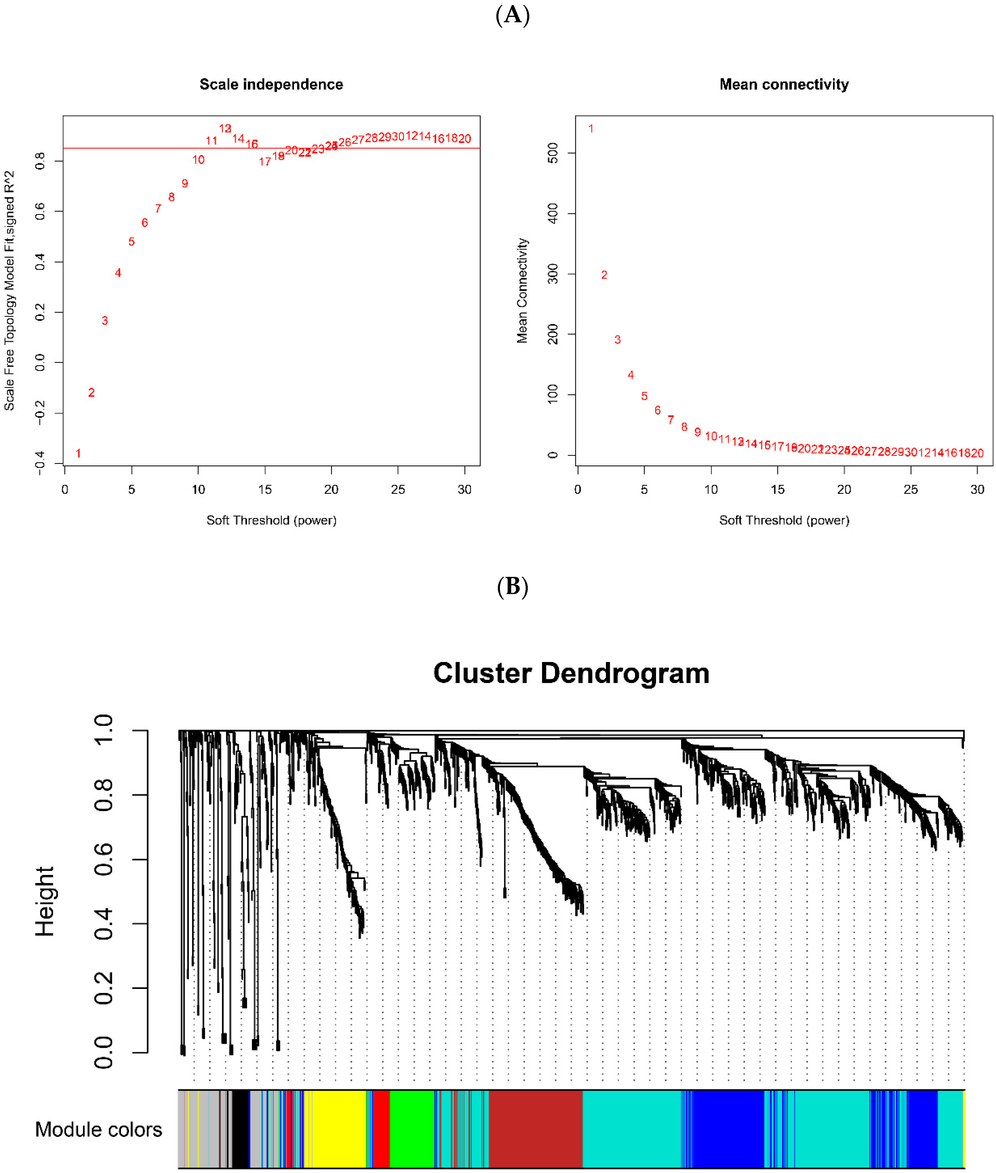 Genes 13 01863 g002a