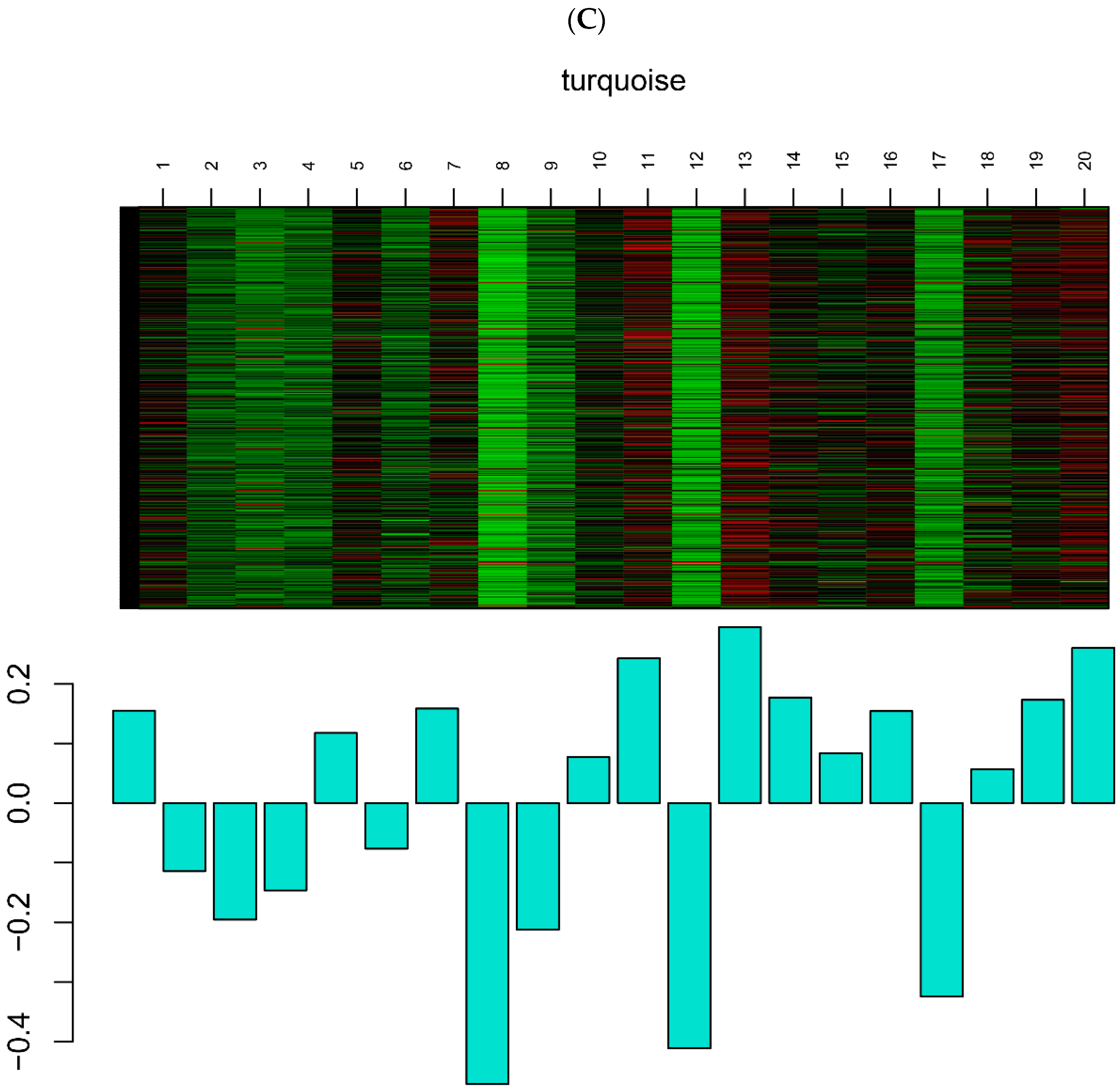 Genes 13 01863 g003c
