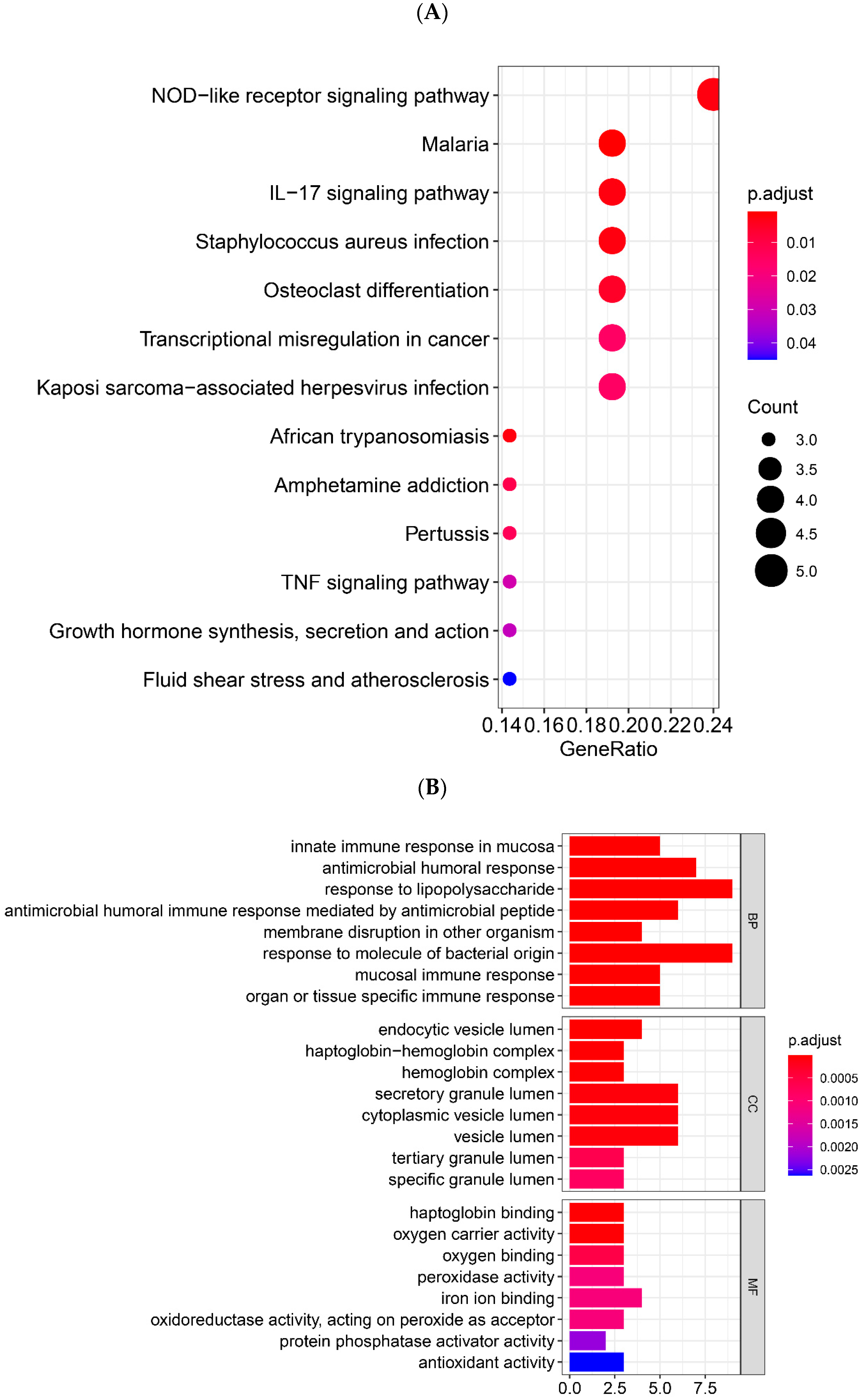 Genes 13 01863 g004
