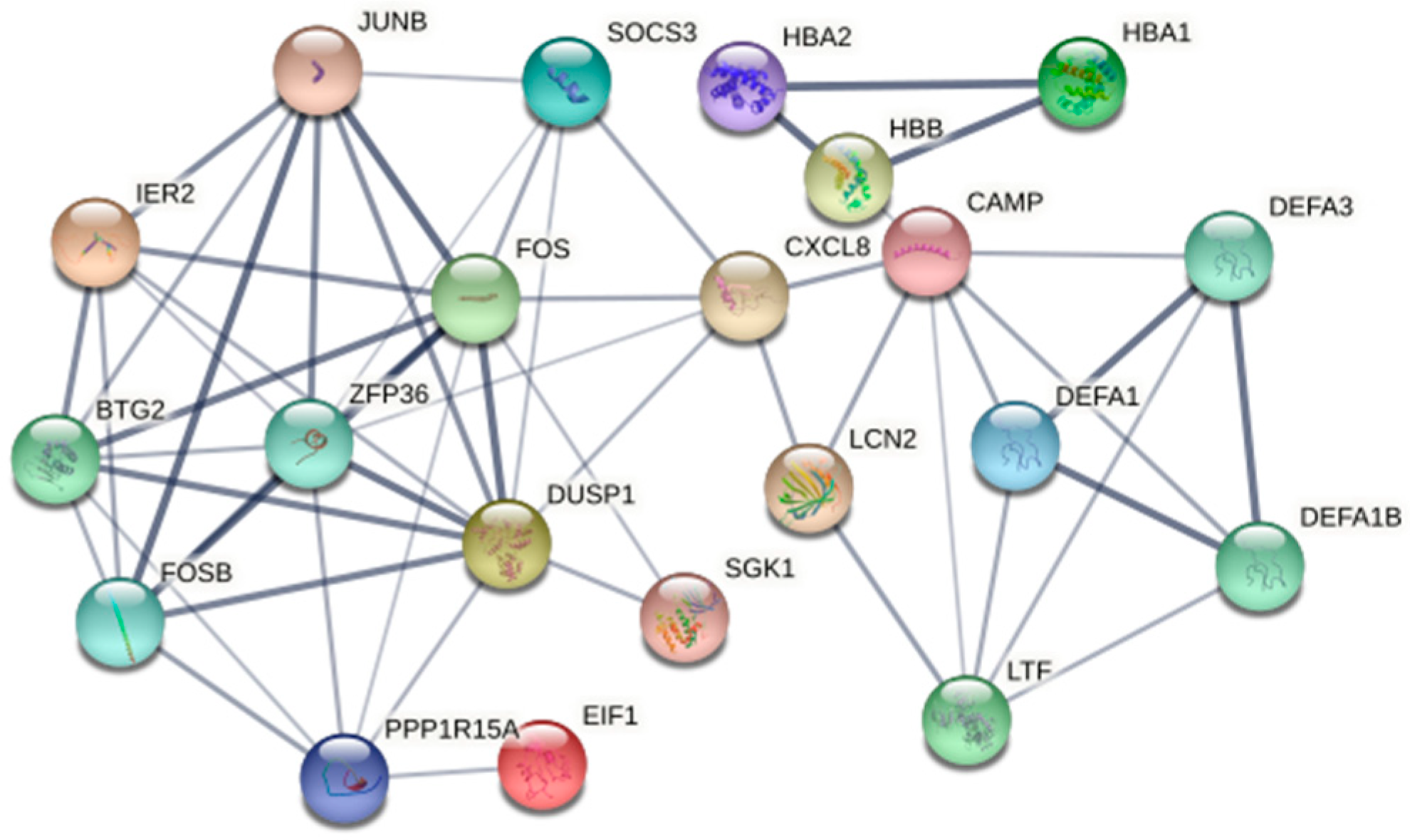 Genes 13 01863 g005