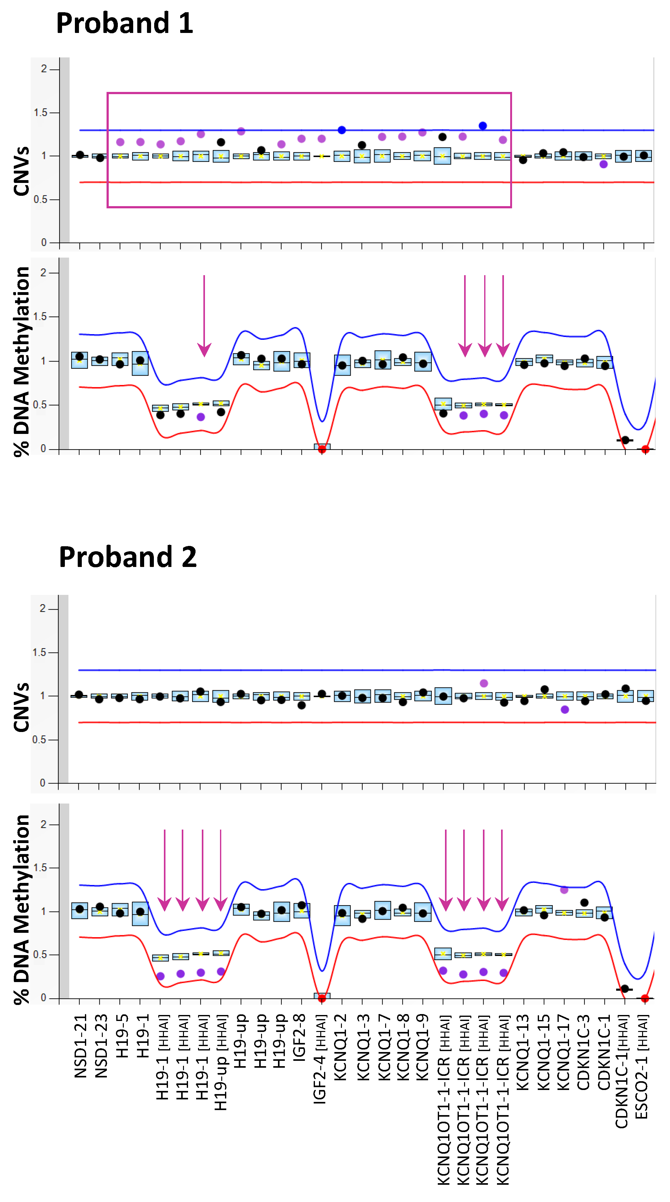 Genes 13 01875 g001