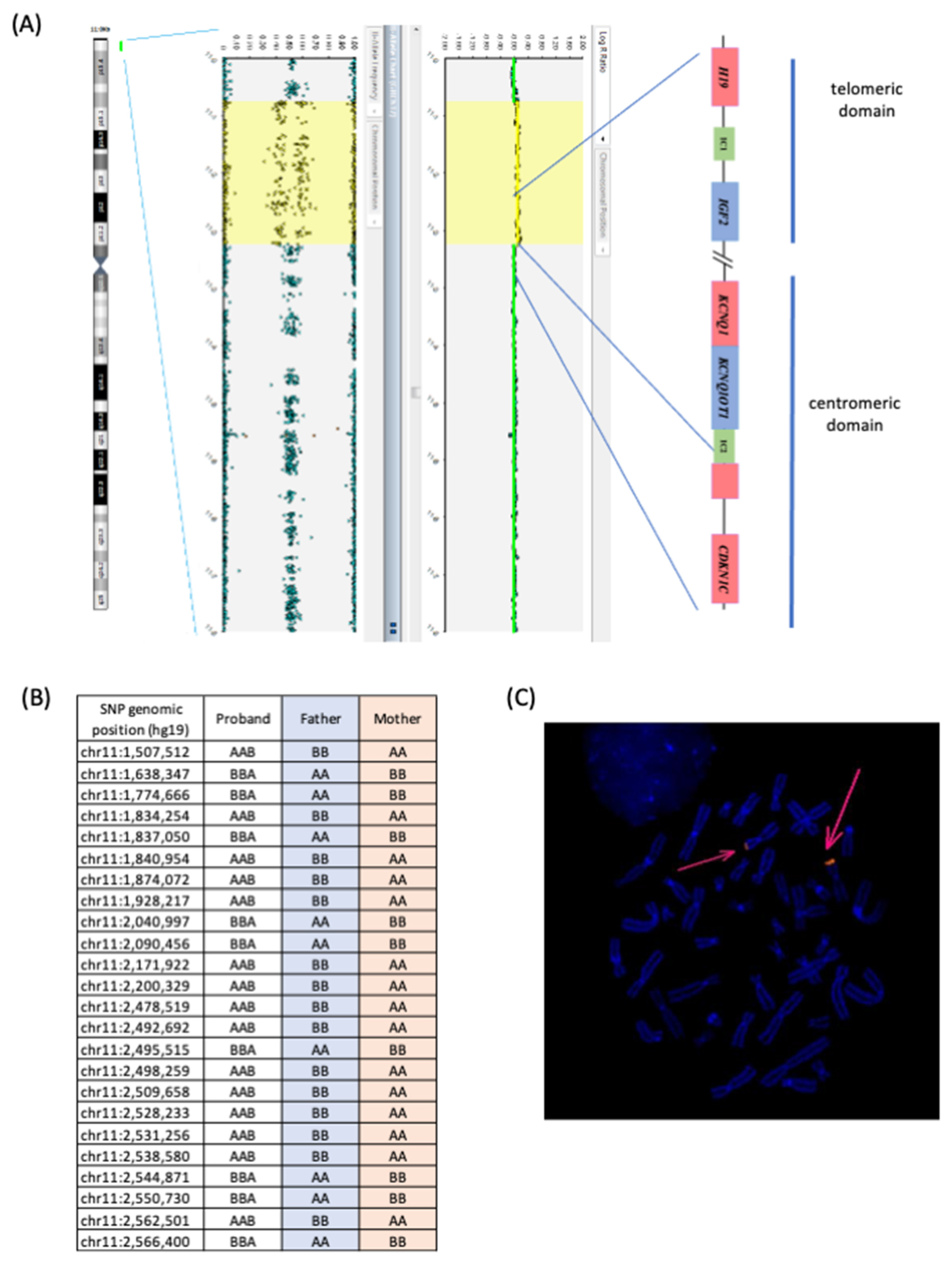 Genes 13 01875 g002