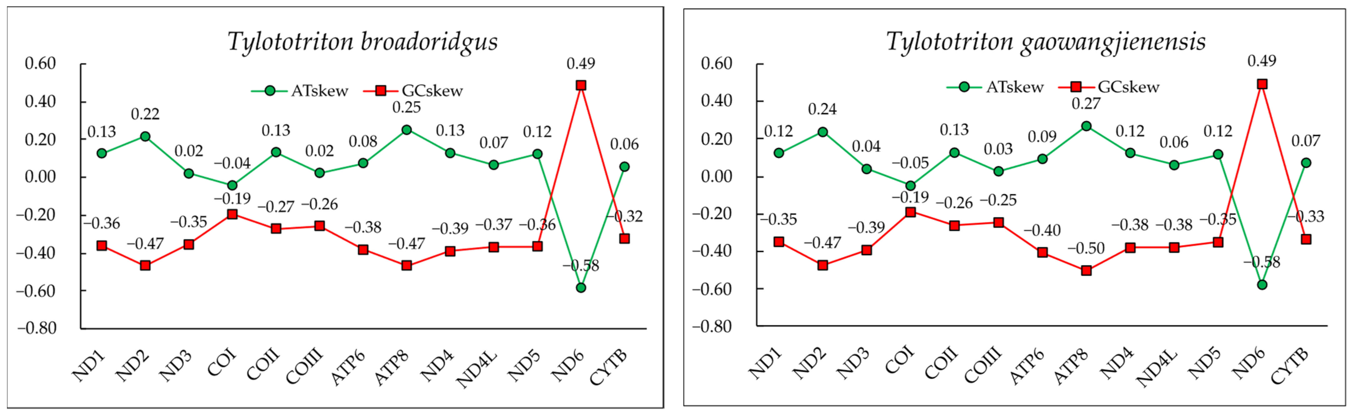 Genes 13 01878 g002 Genes 13 01878 g002