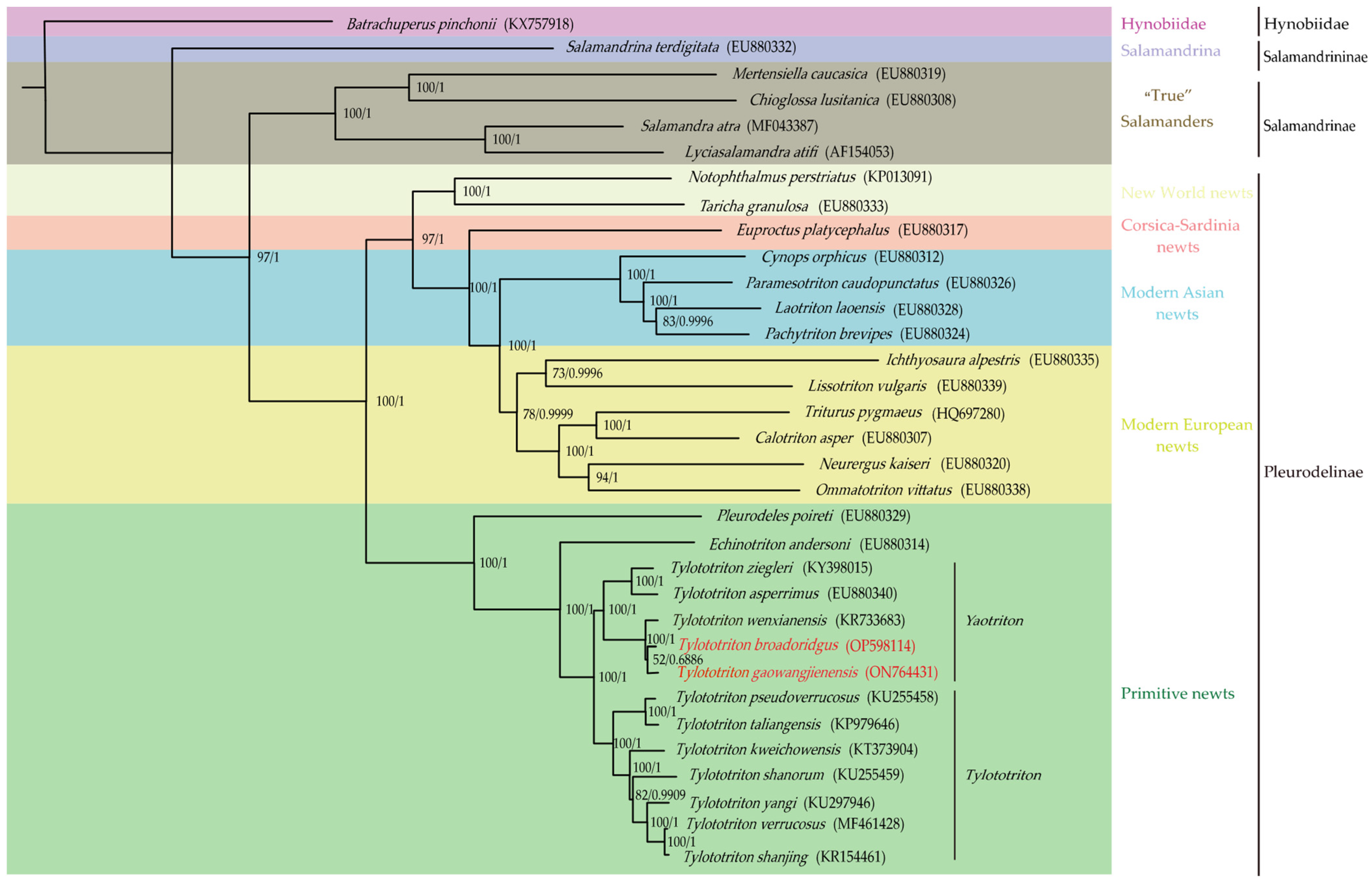 Genes 13 01878 g005 Genes 13 01878 g005