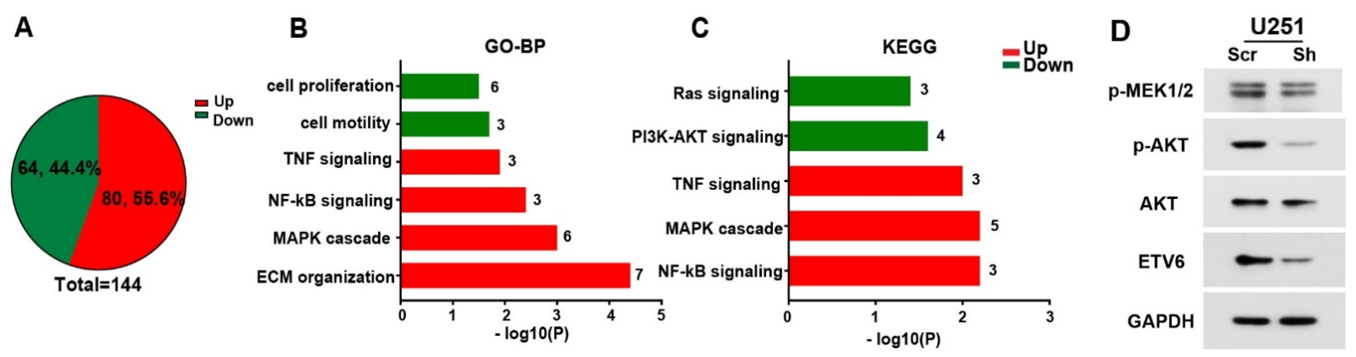 Genes 13 01882 g004