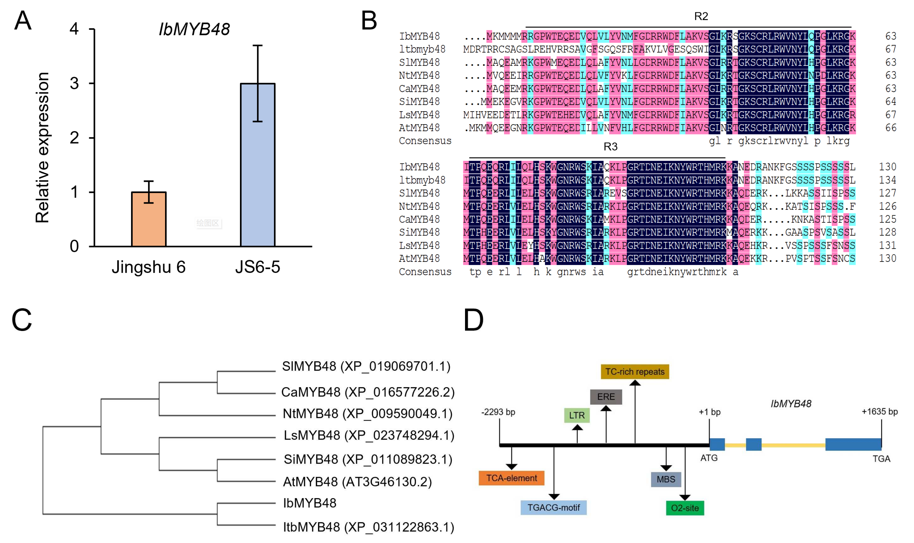 Genes 13 01883 g001