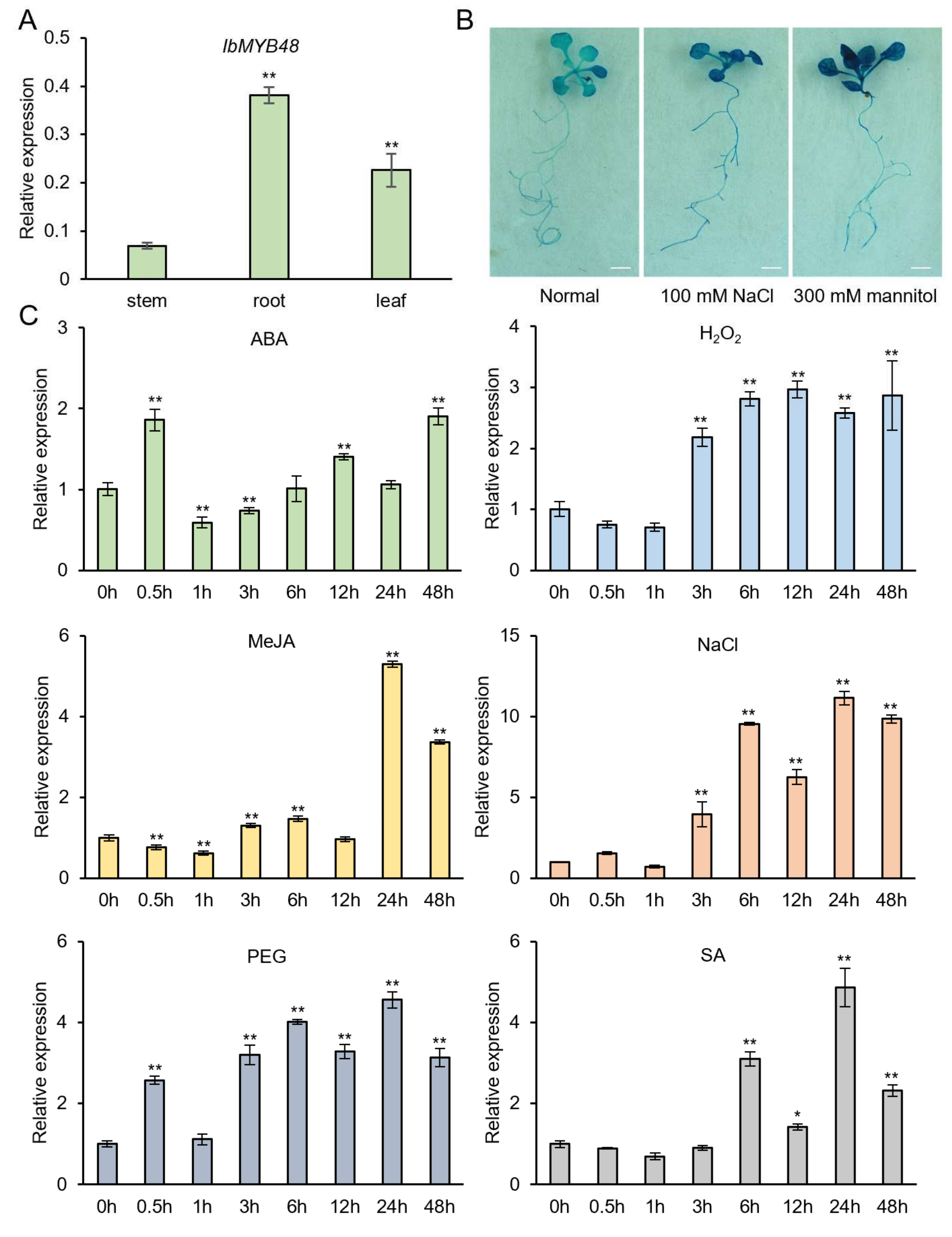 Genes 13 01883 g002