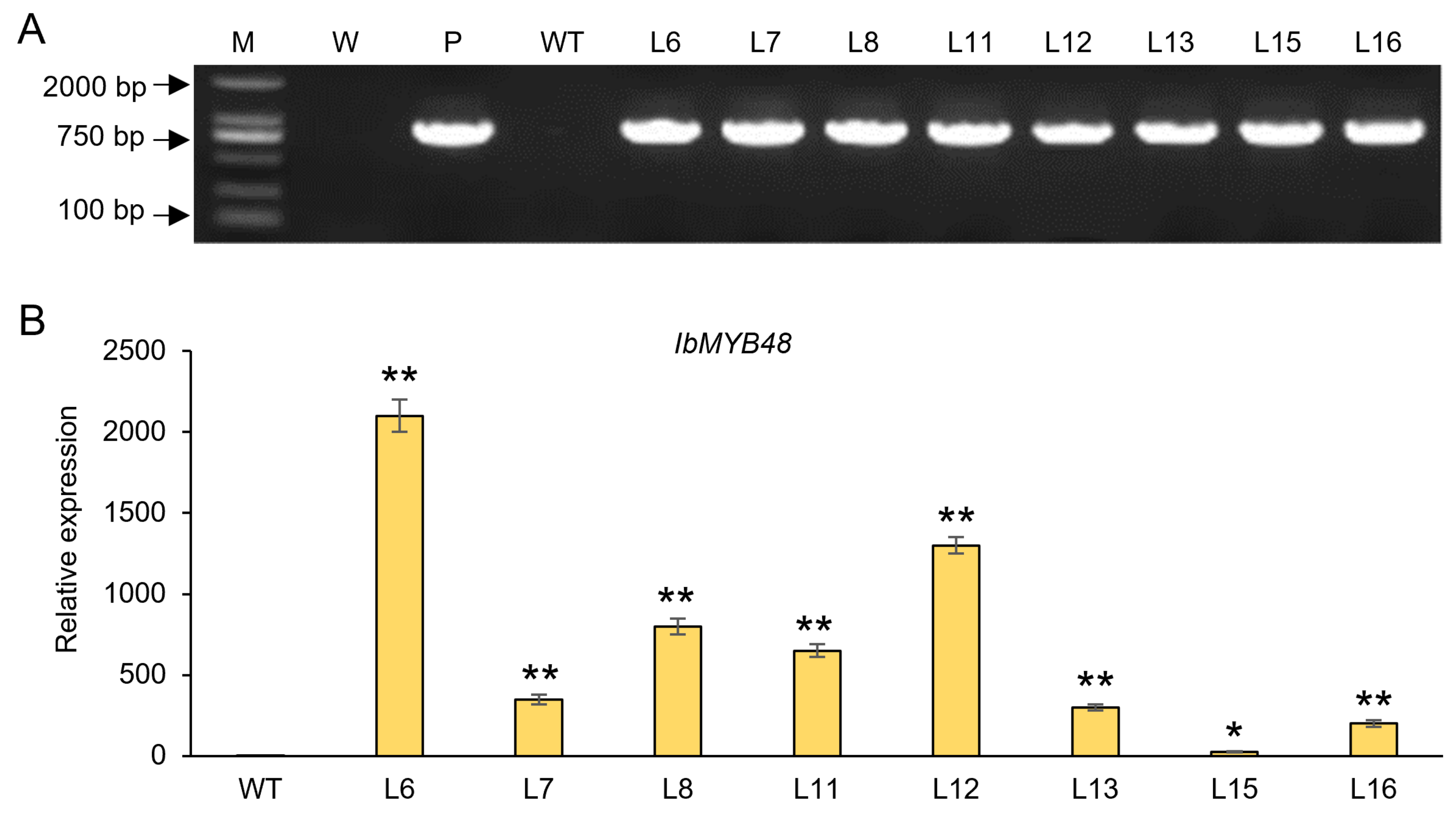 Genes 13 01883 g005