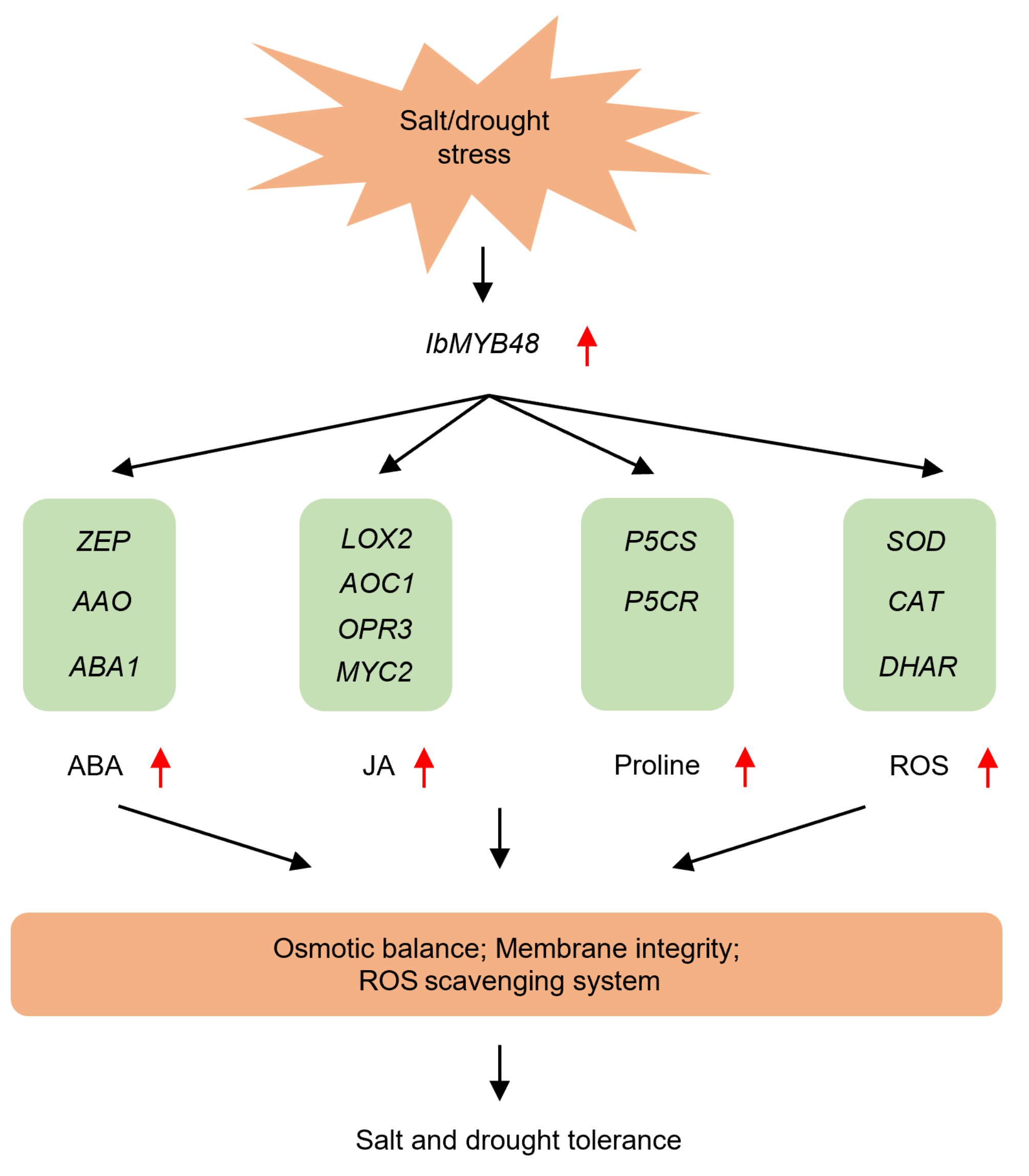 Genes 13 01883 g009