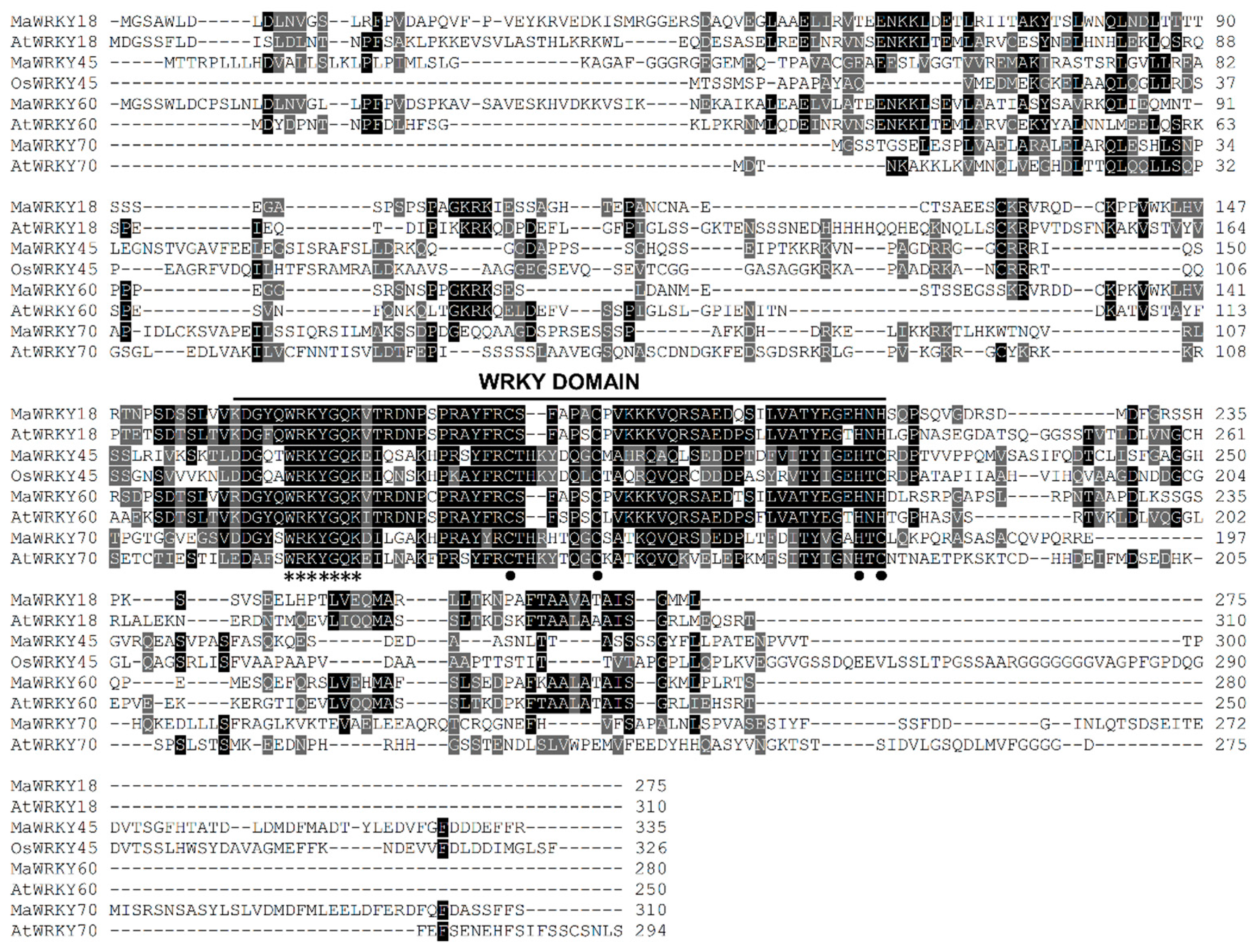 Genes 13 01891 g002 Genes 13 01891 g002