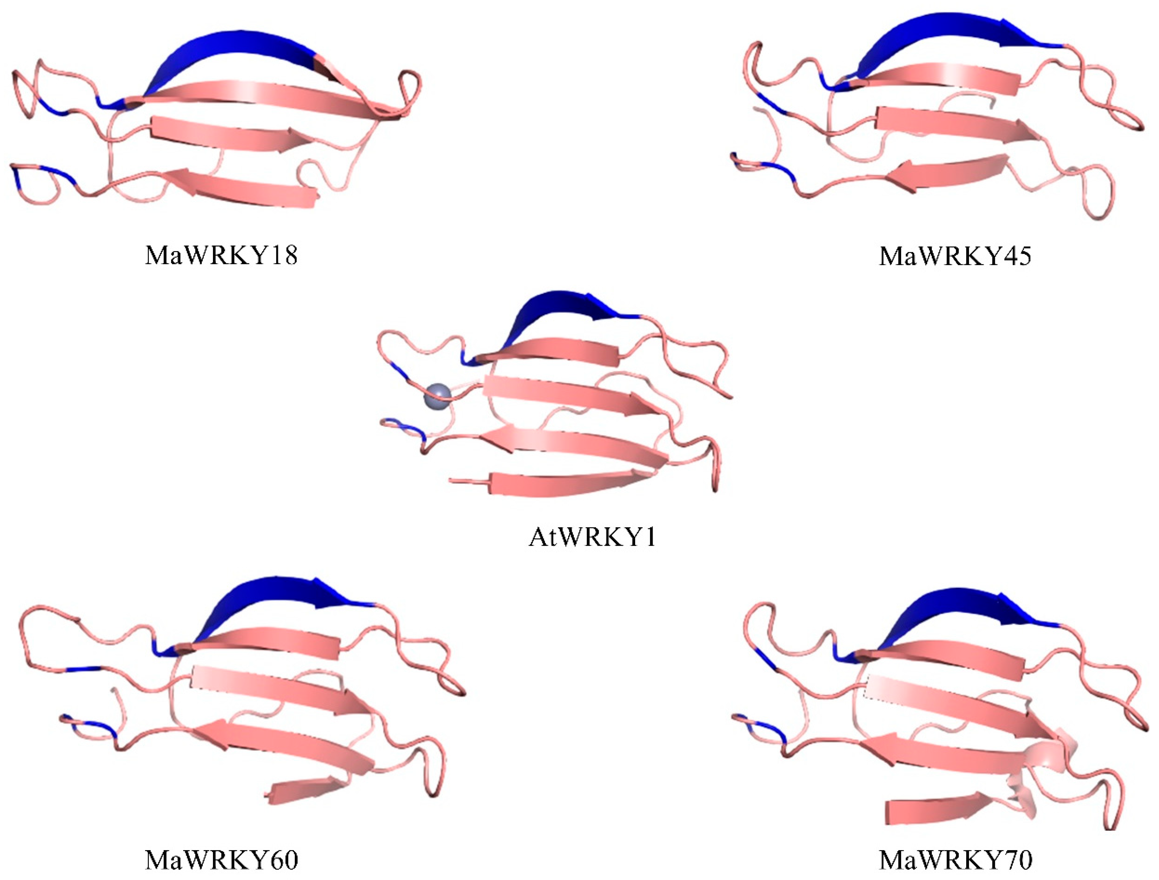 Genes 13 01891 g003 Genes 13 01891 g003