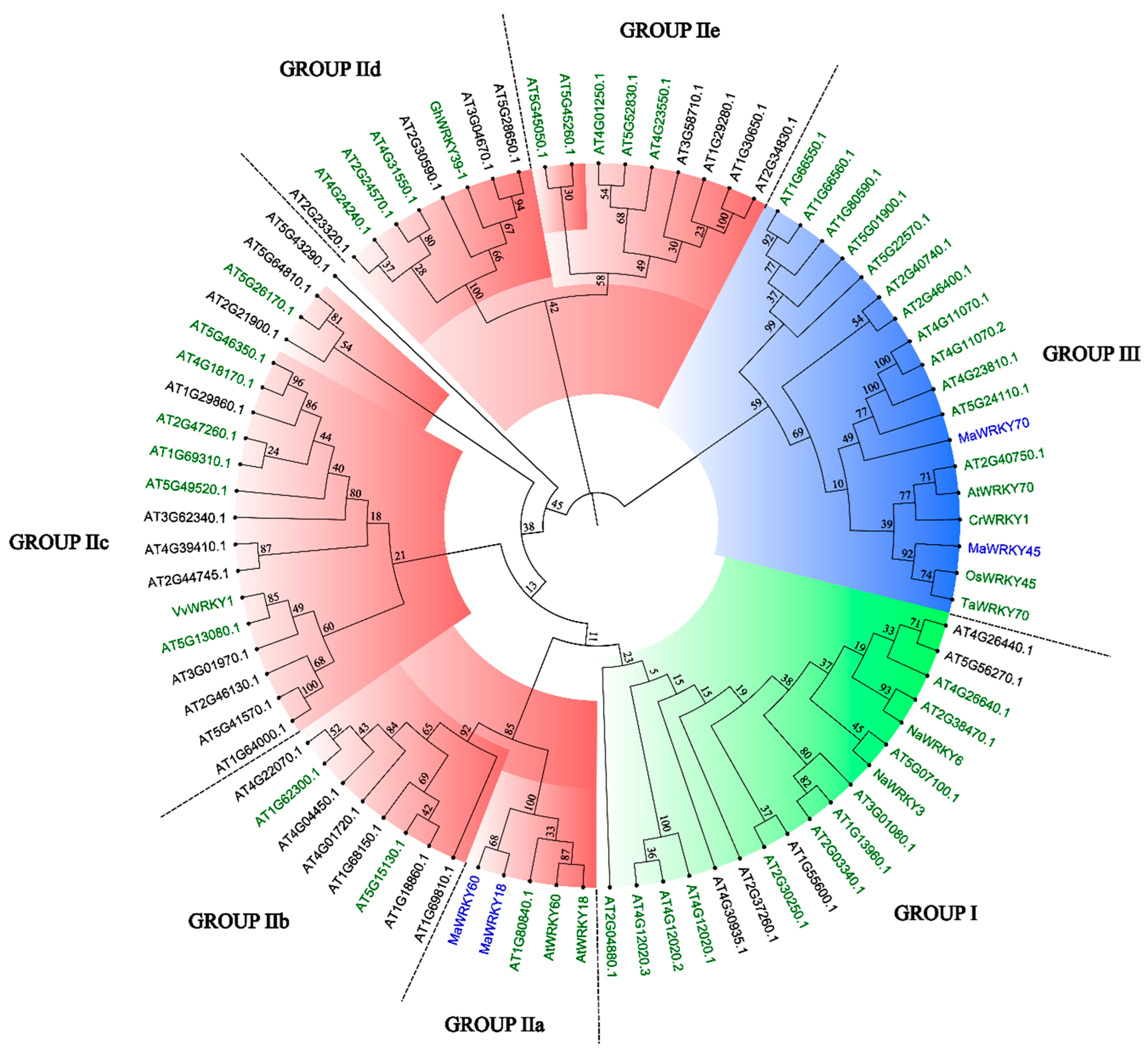 Genes 13 01891 g004 Genes 13 01891 g004