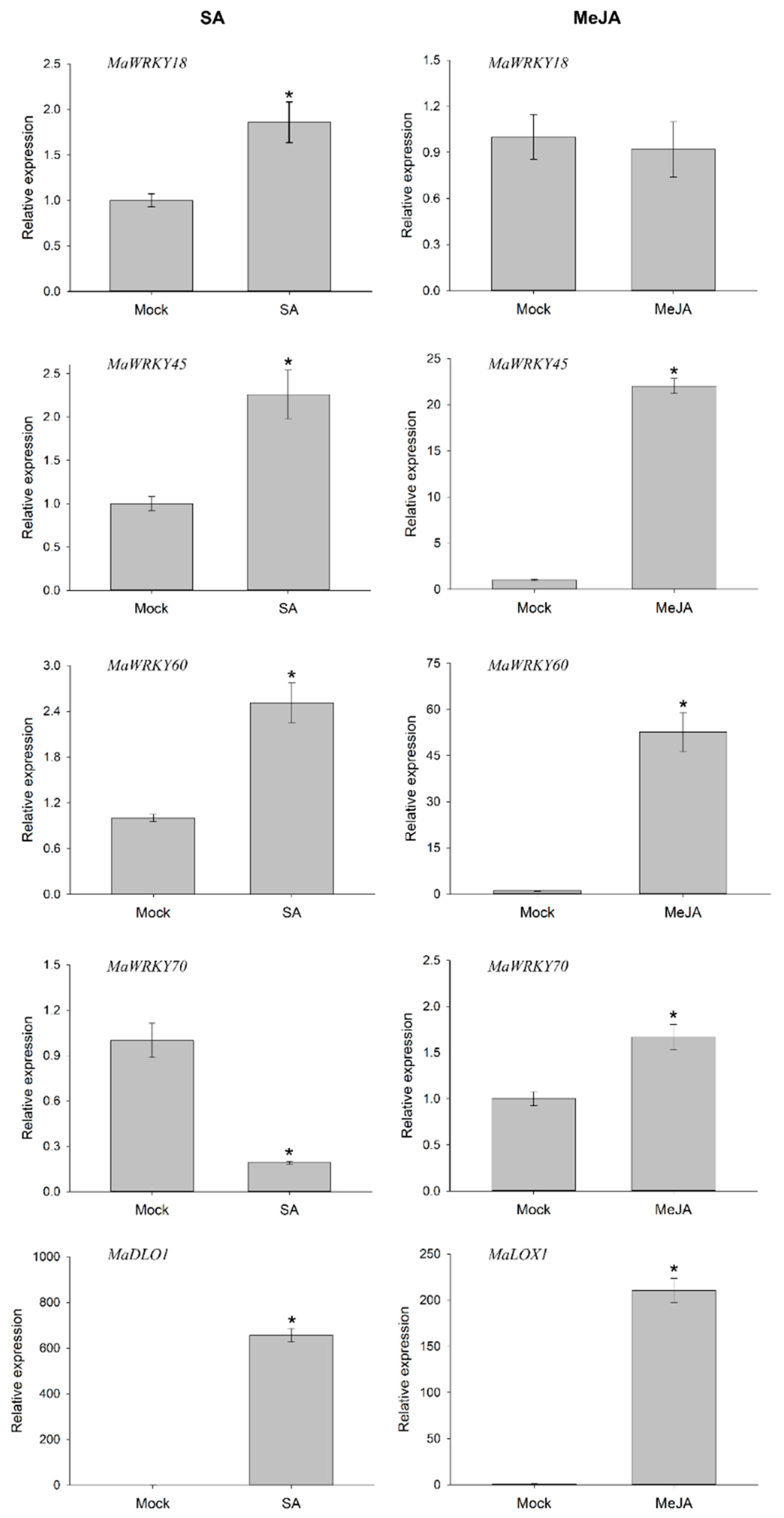 Genes 13 01891 g008 Genes 13 01891 g008