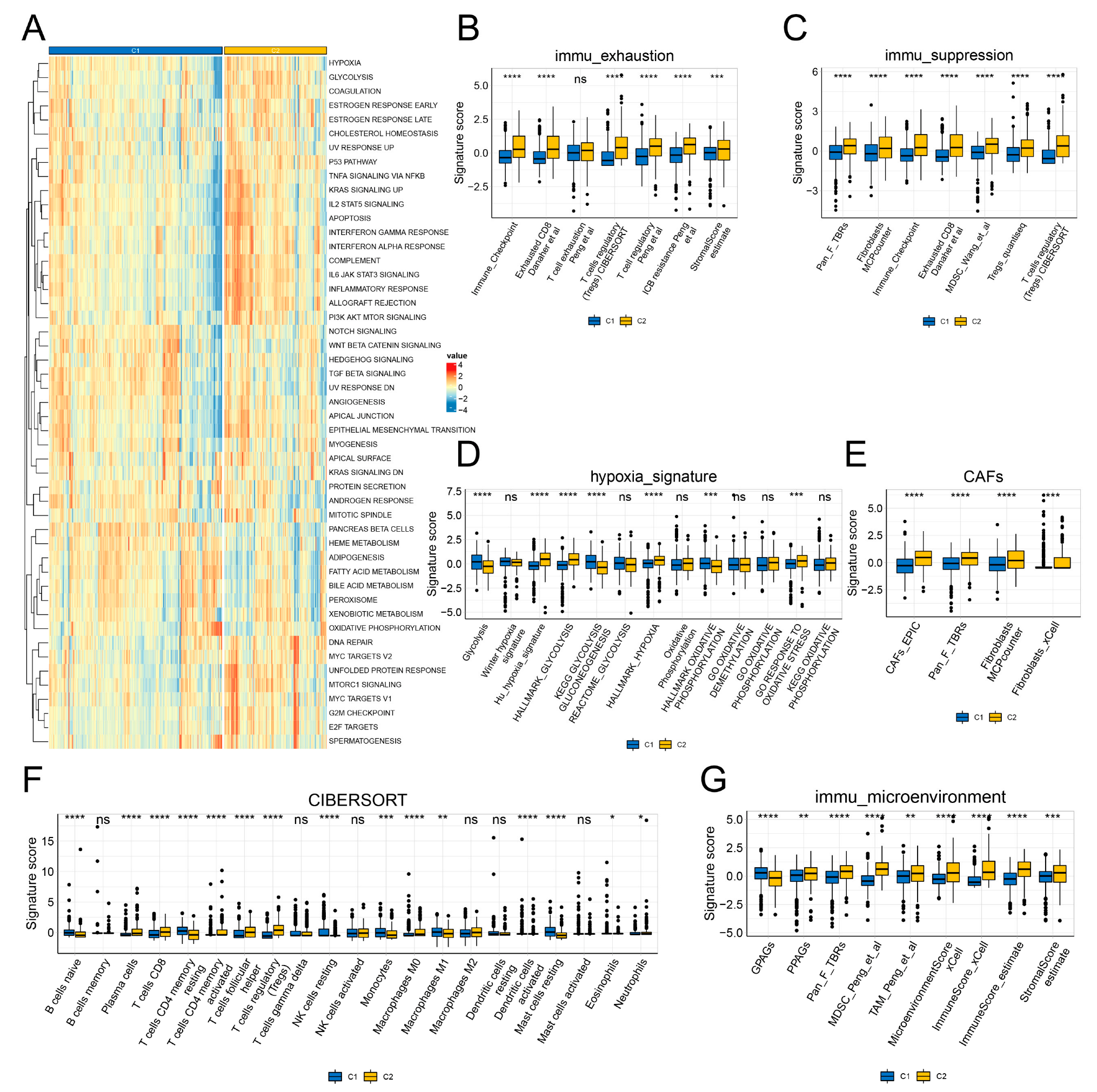 Genes 13 01897 g003