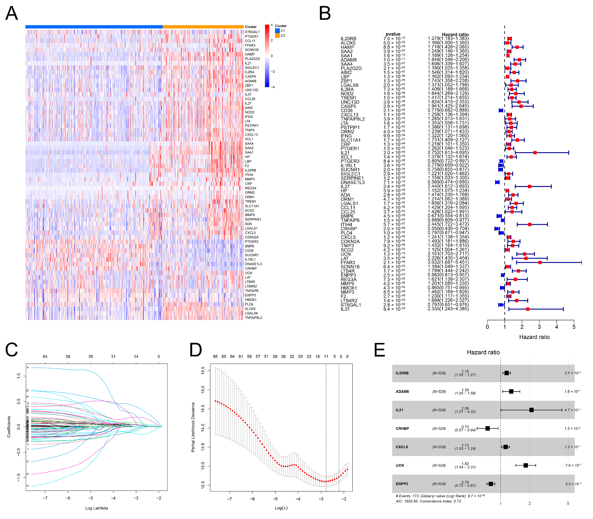 Genes 13 01897 g004