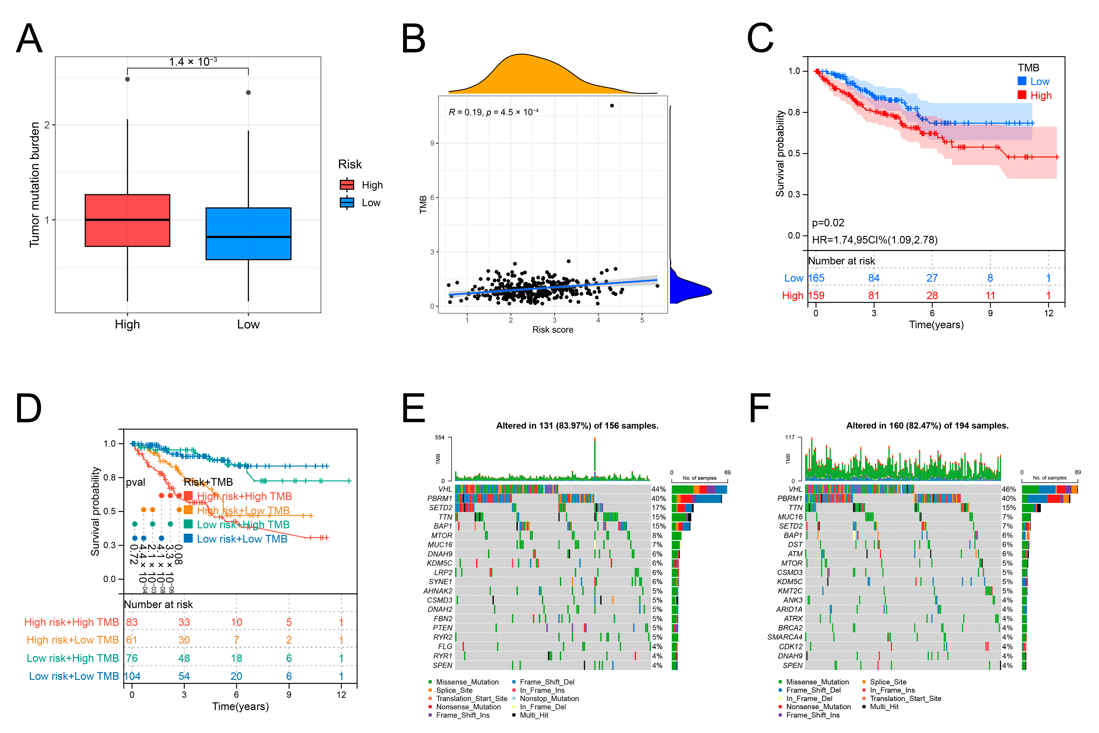 Genes 13 01897 g009