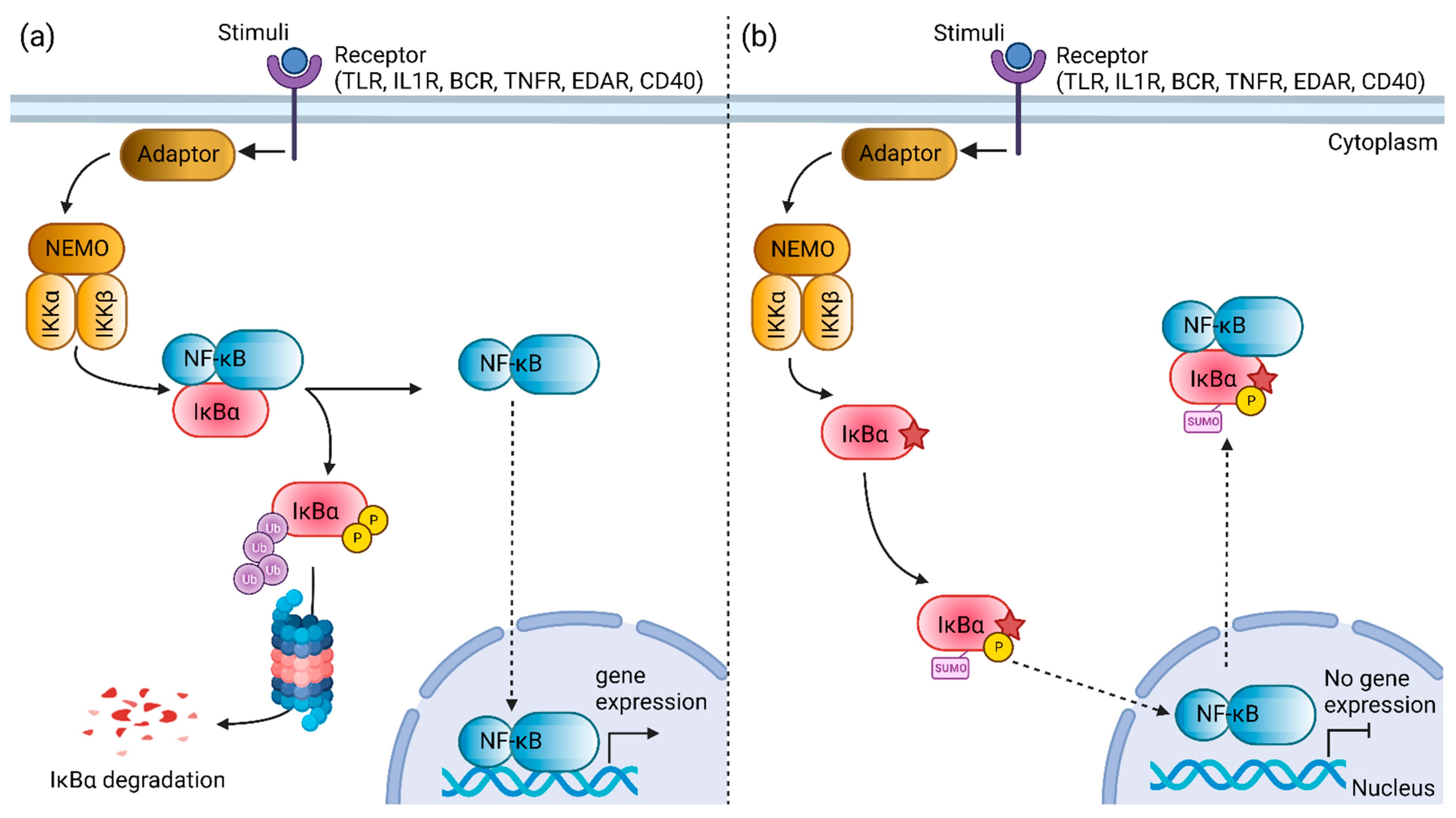 Genes 13 01900 g004