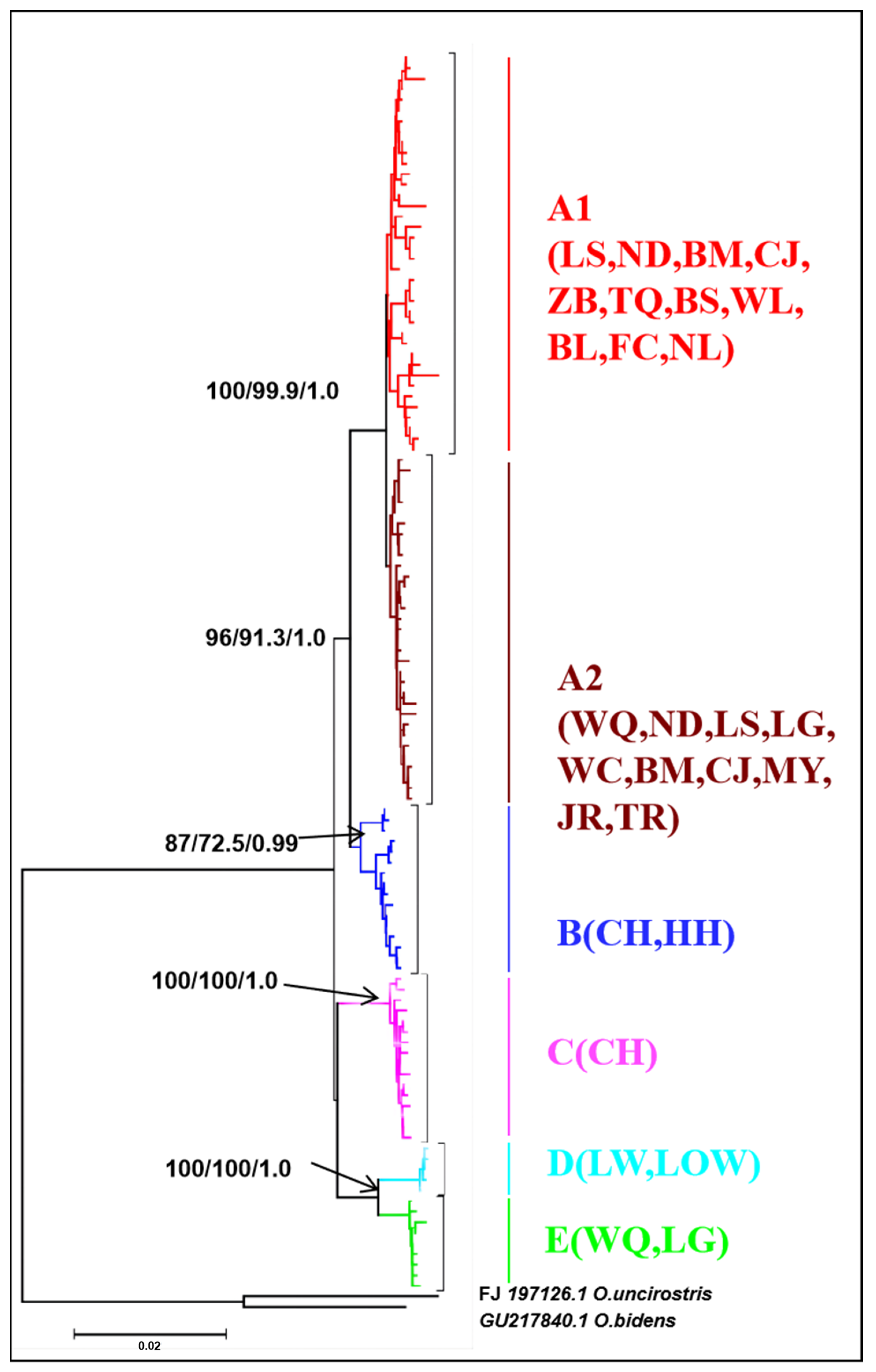 Genes 13 01908 g003 Genes 13 01908 g003