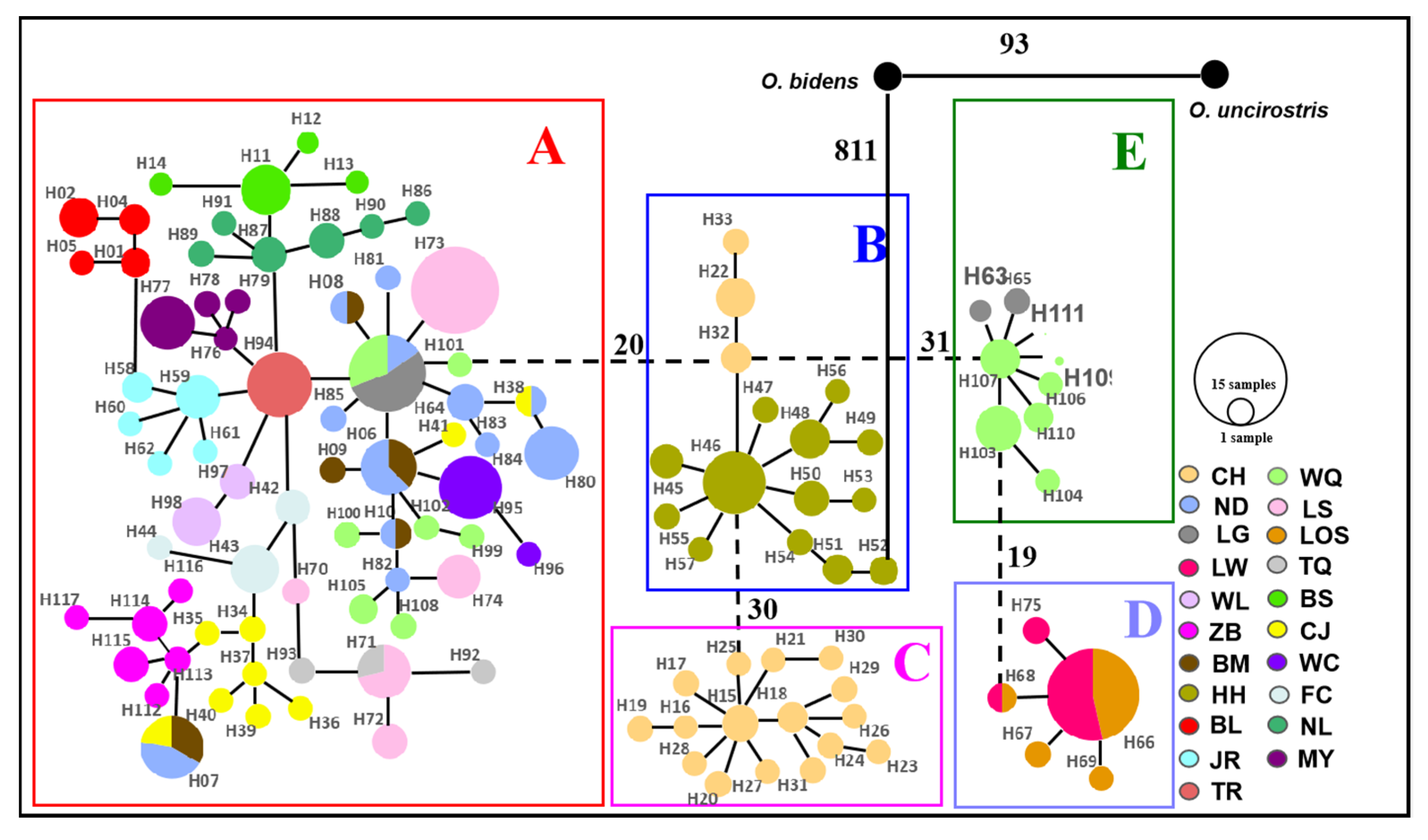 Genes 13 01908 g004 Genes 13 01908 g004