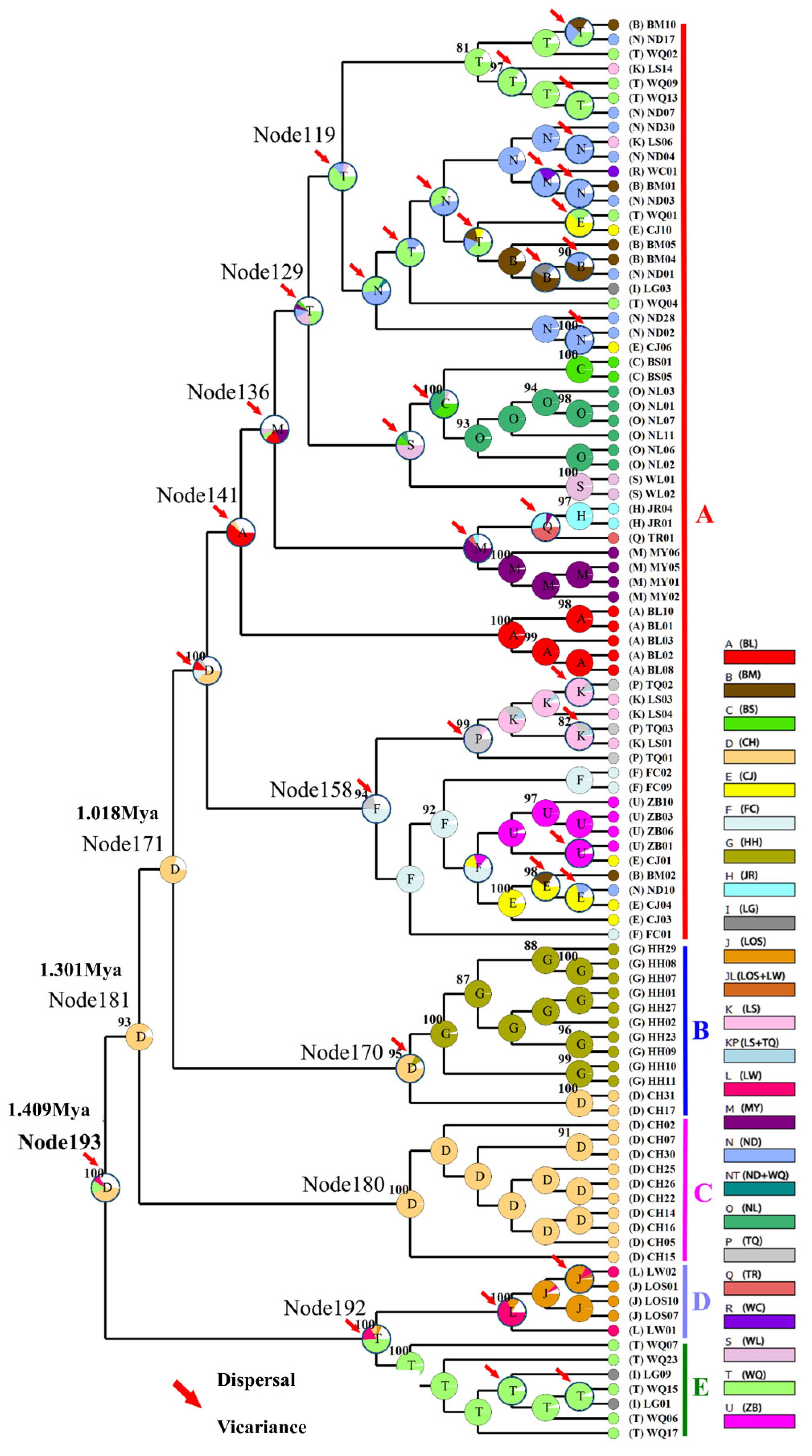 Genes 13 01908 g006 Genes 13 01908 g006