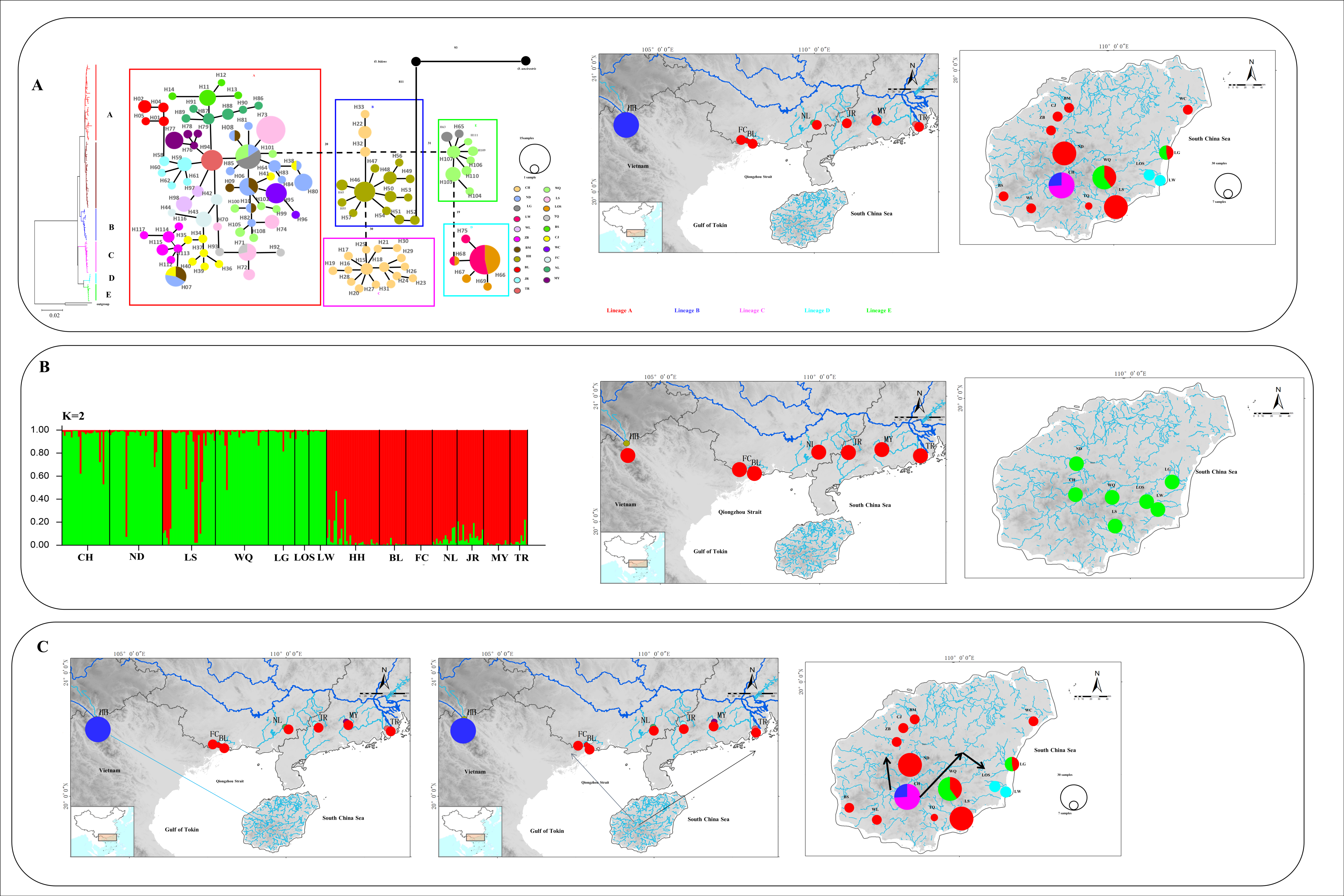 Genes 13 01908 g008 Genes 13 01908 g008