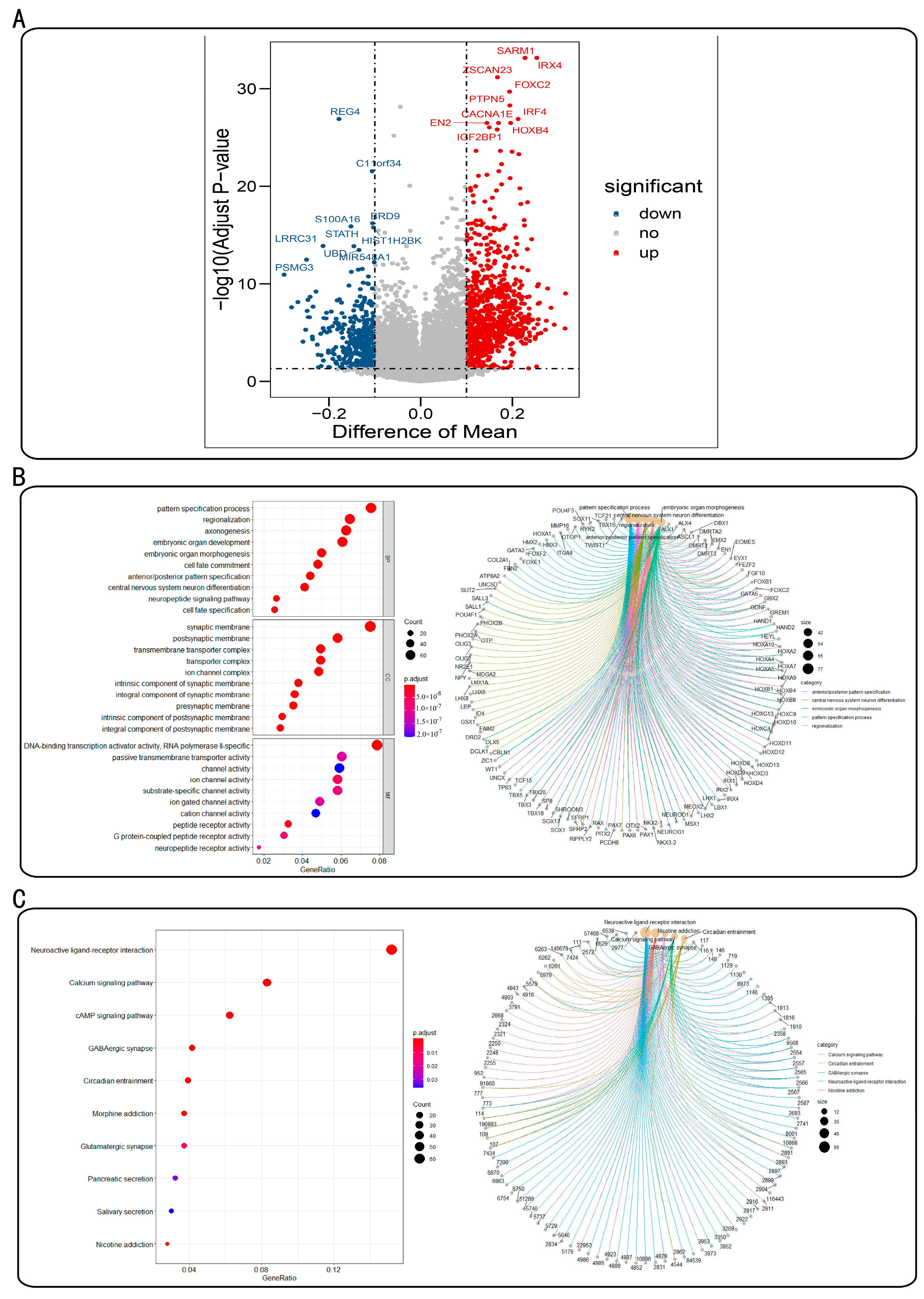 Genes 13 01913 g001