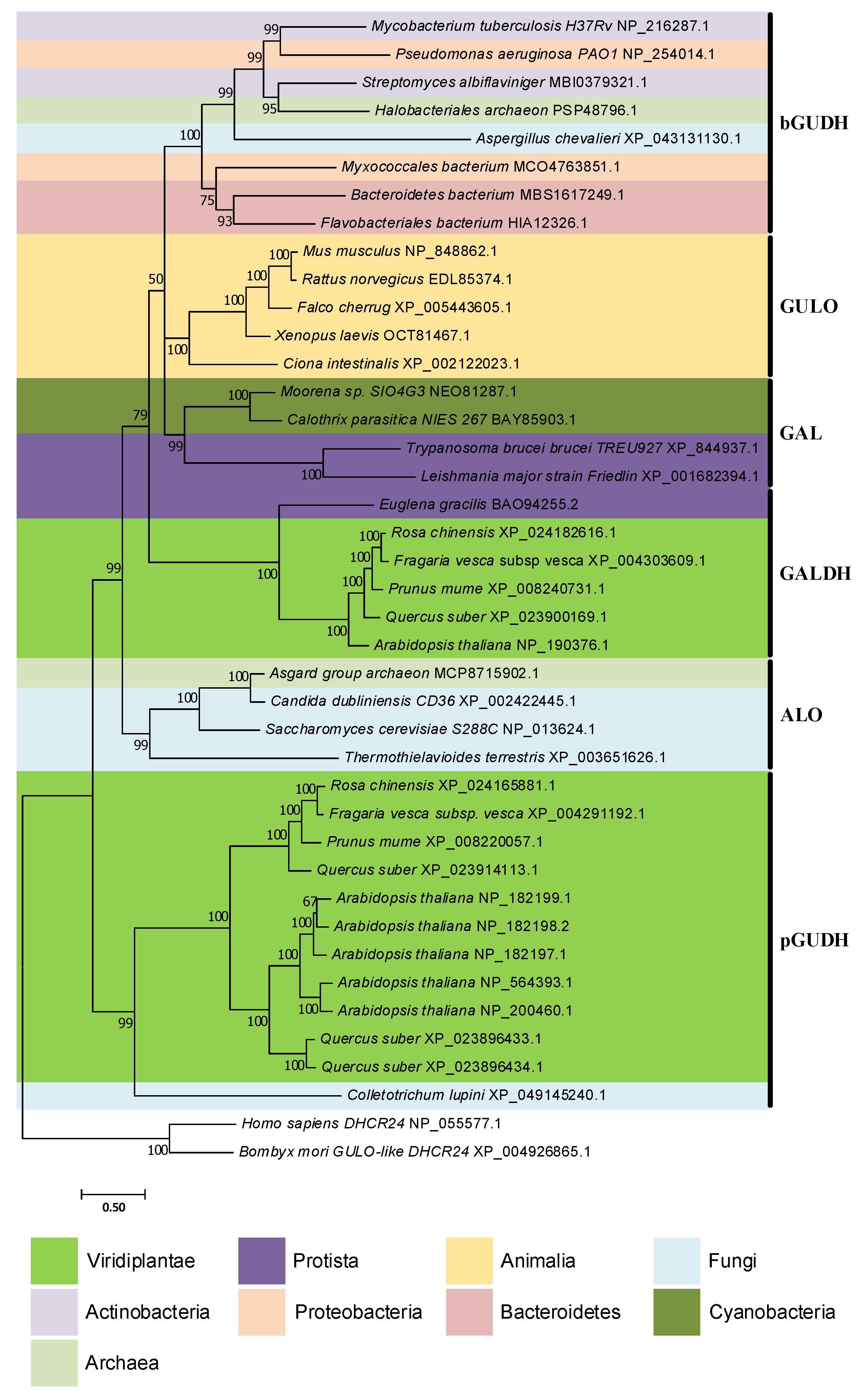 Genes 13 01917 g005