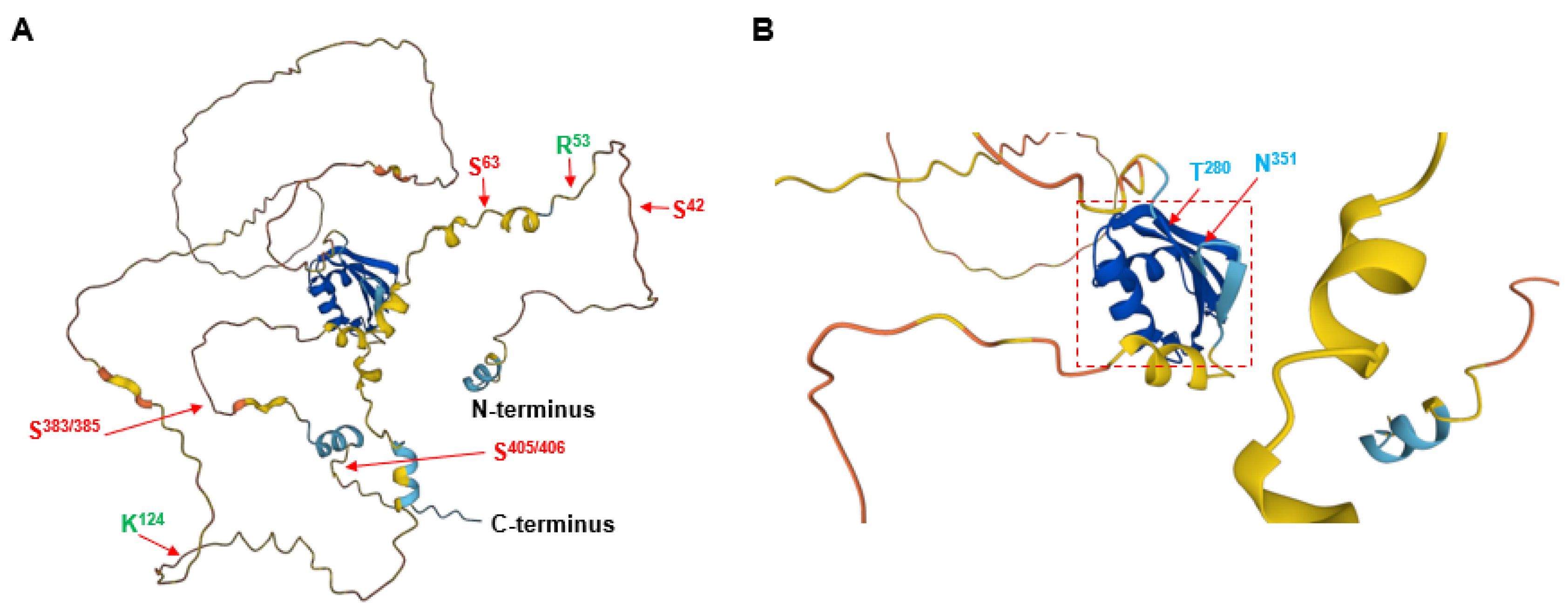 Genes 13 01921 g002 Genes 13 01921 g002