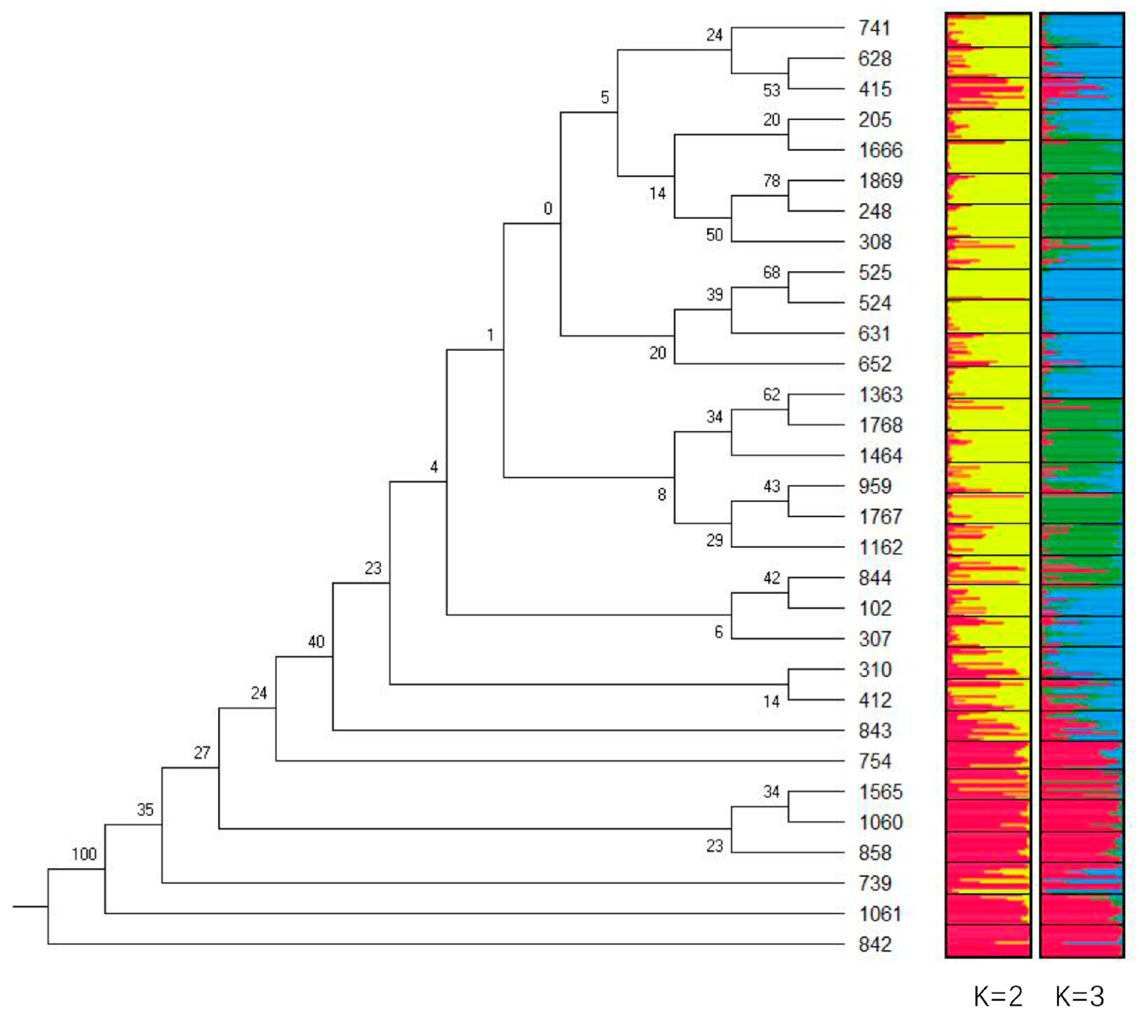 Genes 13 01924 g004 Genes 13 01924 g004