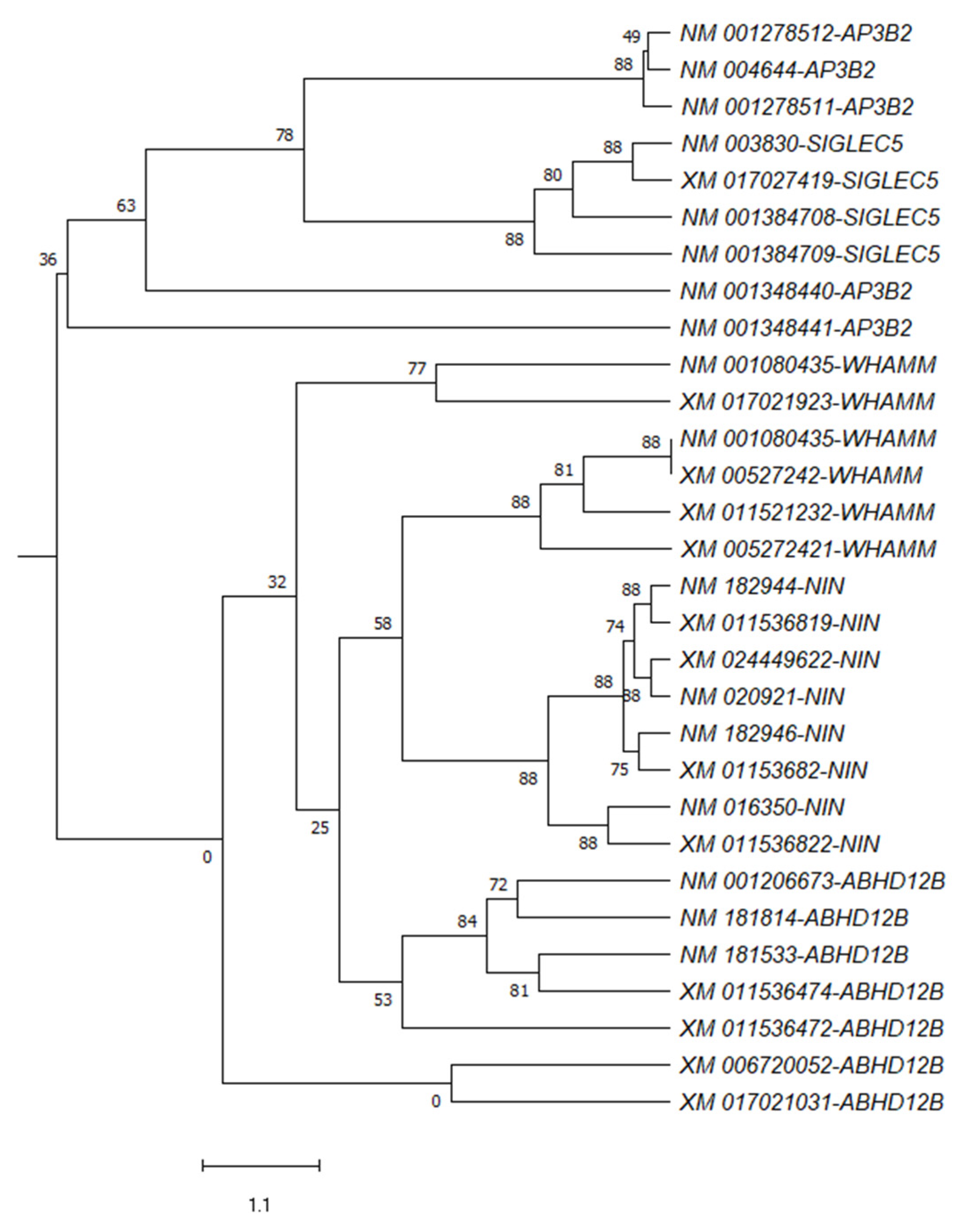 Genes 13 01934 g003