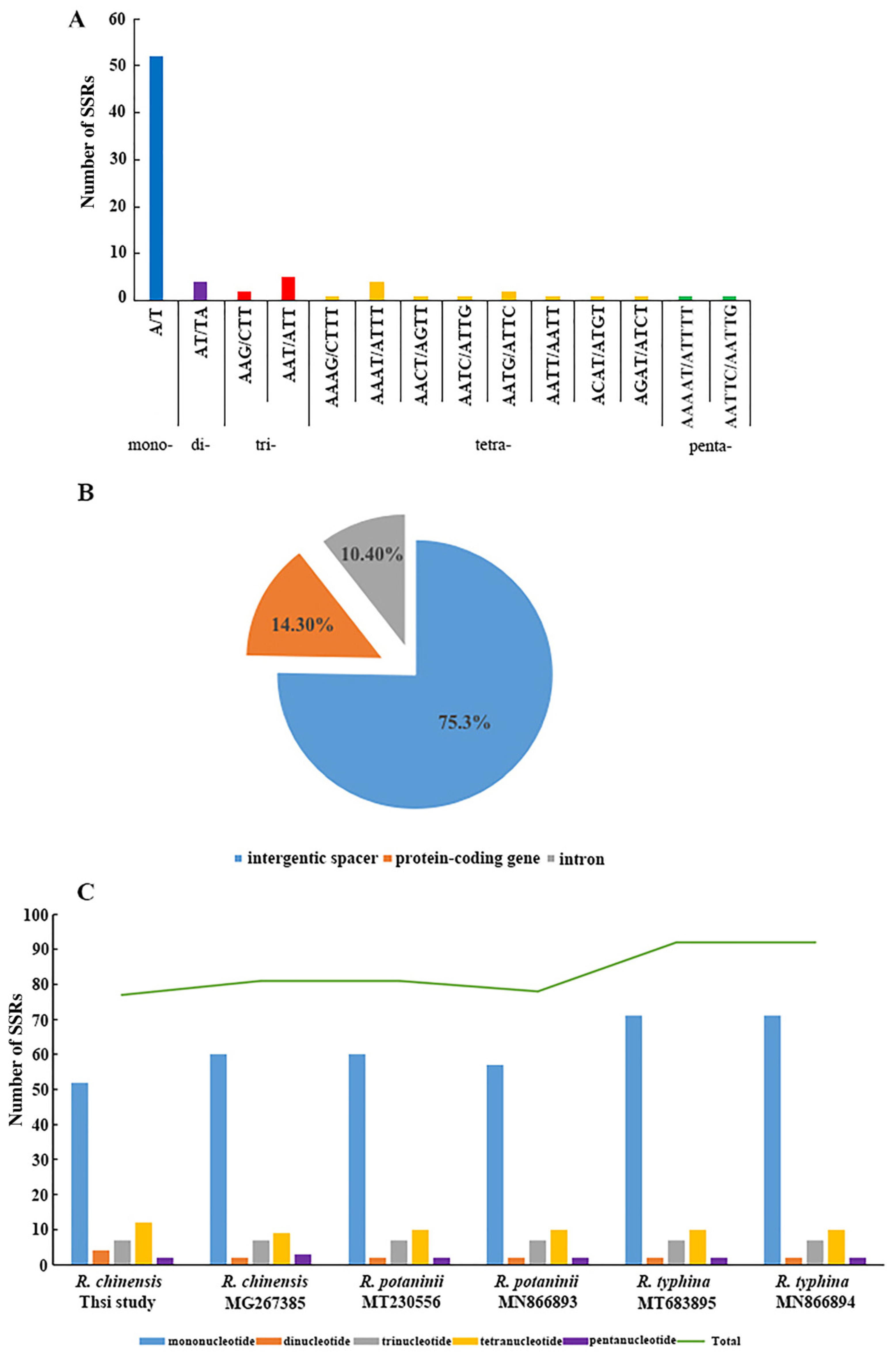 Genes 13 01936 g003 Genes 13 01936 g003