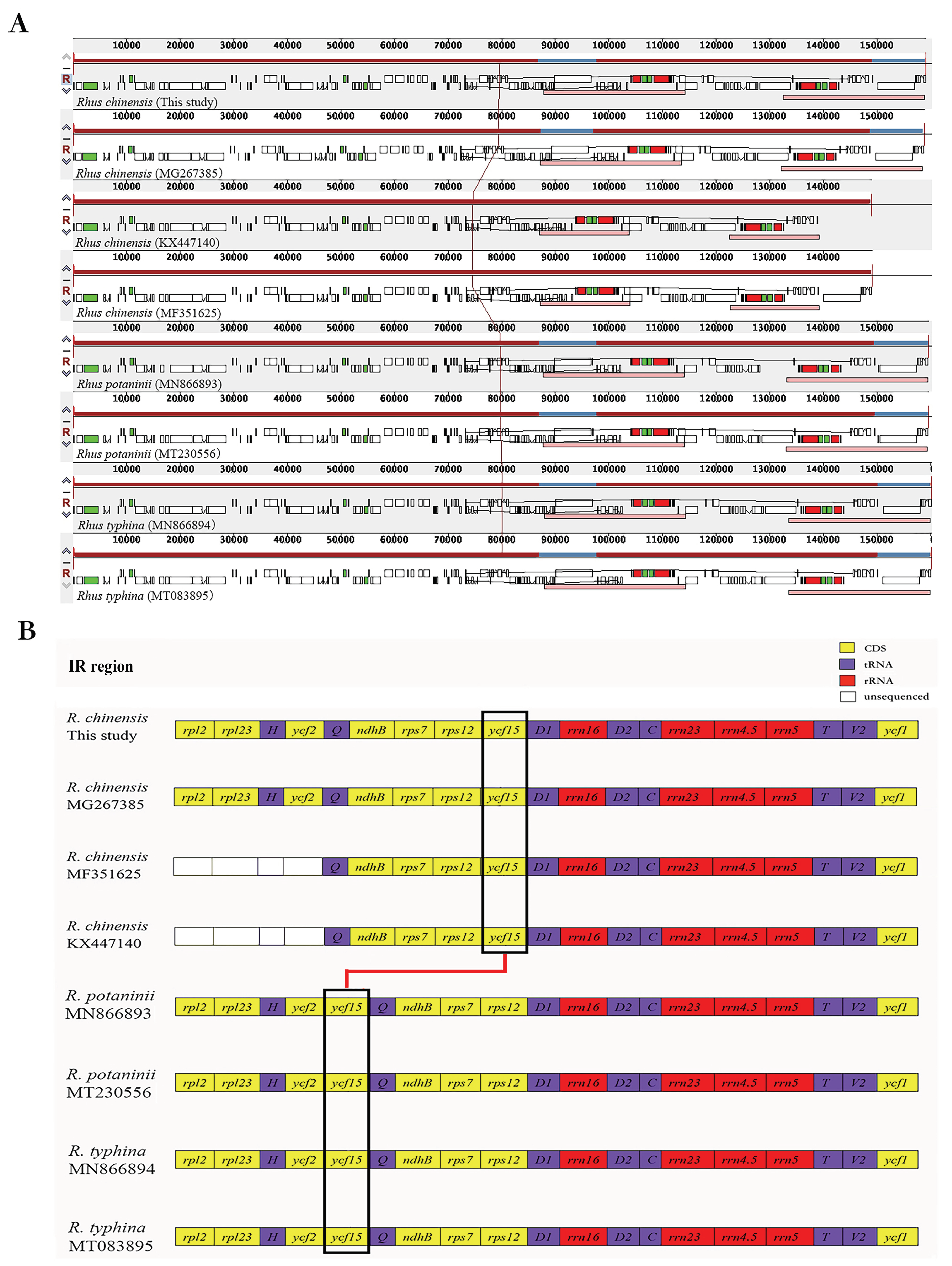 Genes 13 01936 g004 Genes 13 01936 g004