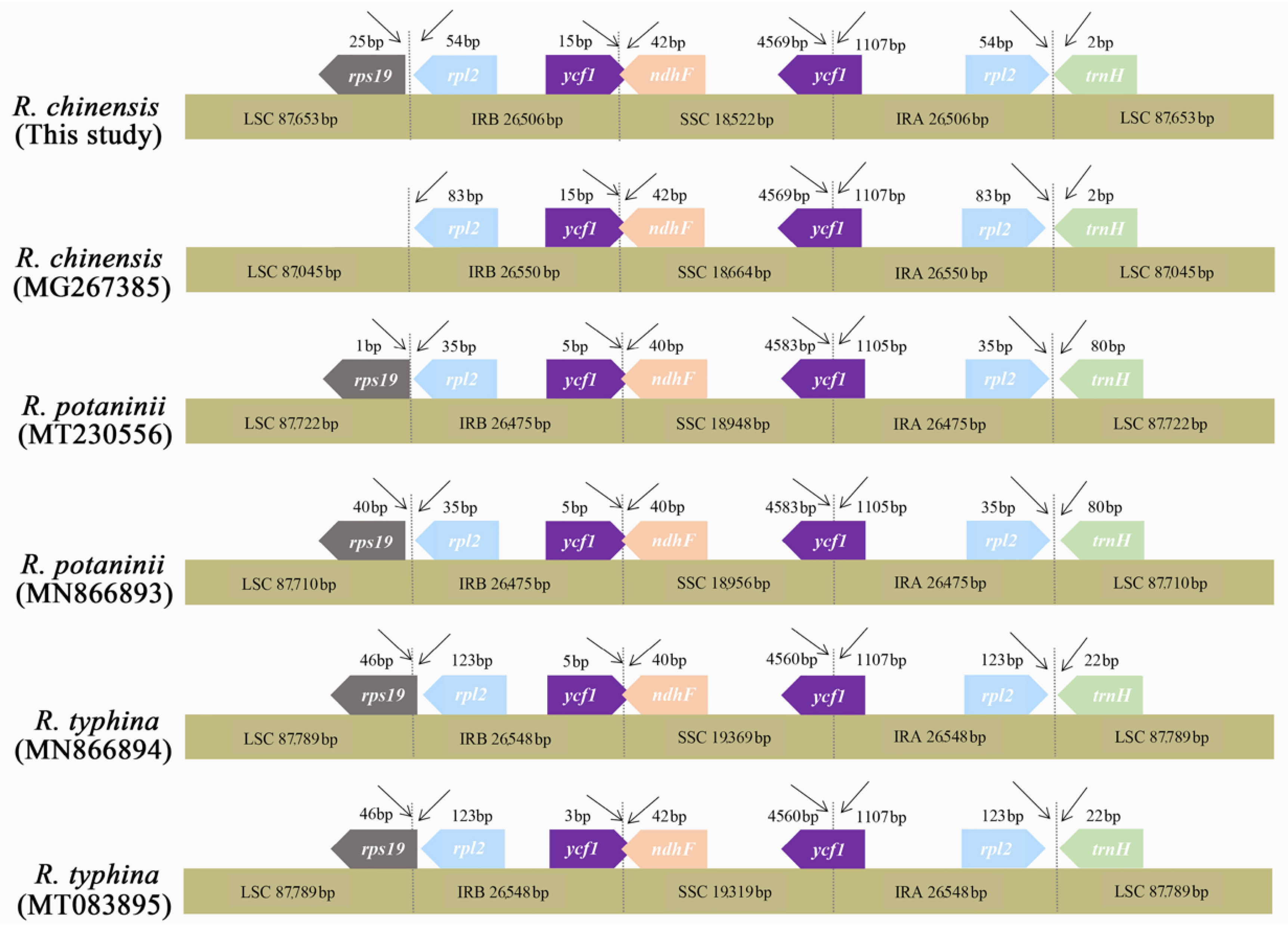 Genes 13 01936 g006 Genes 13 01936 g006