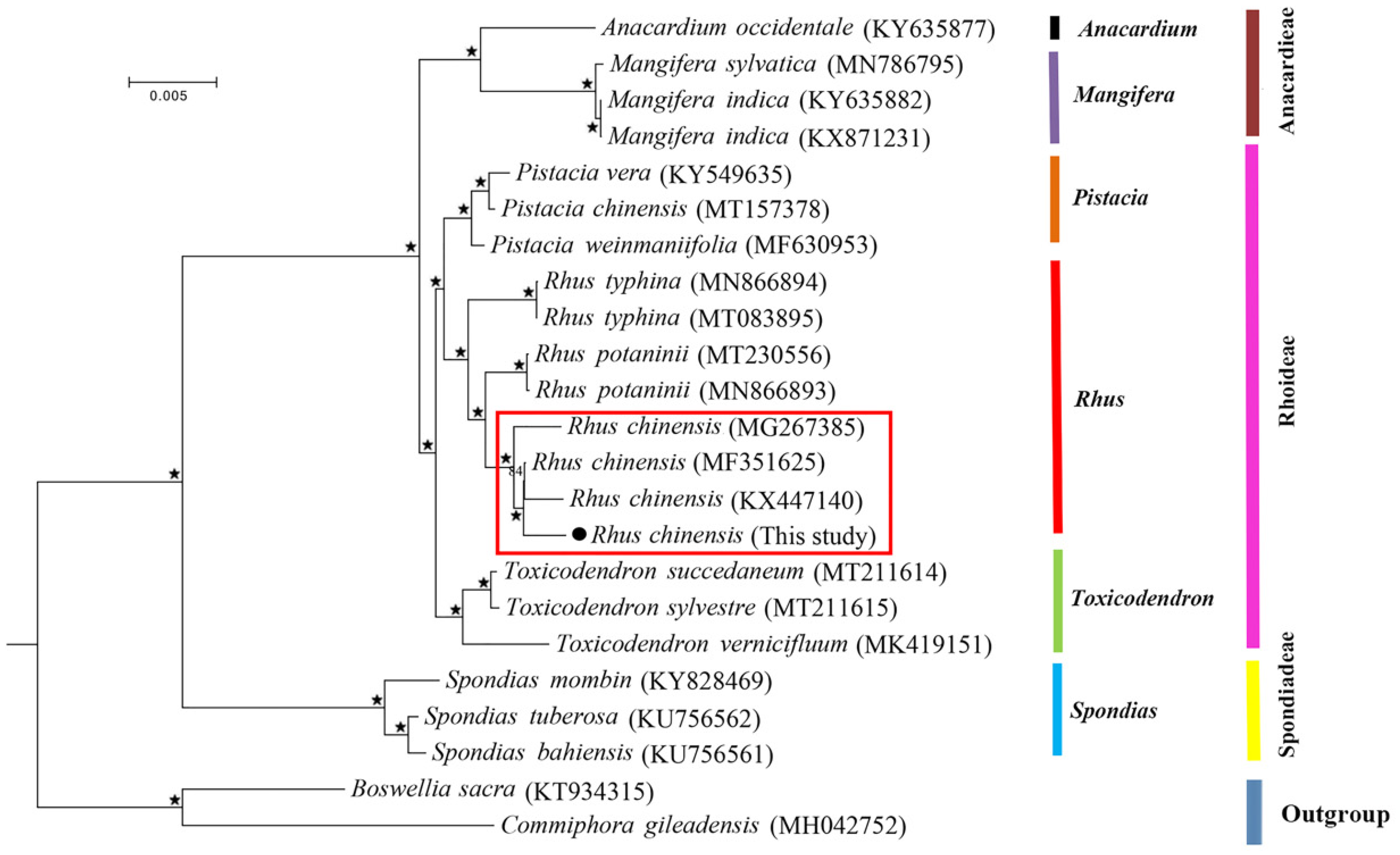 Genes 13 01936 g007 Genes 13 01936 g007