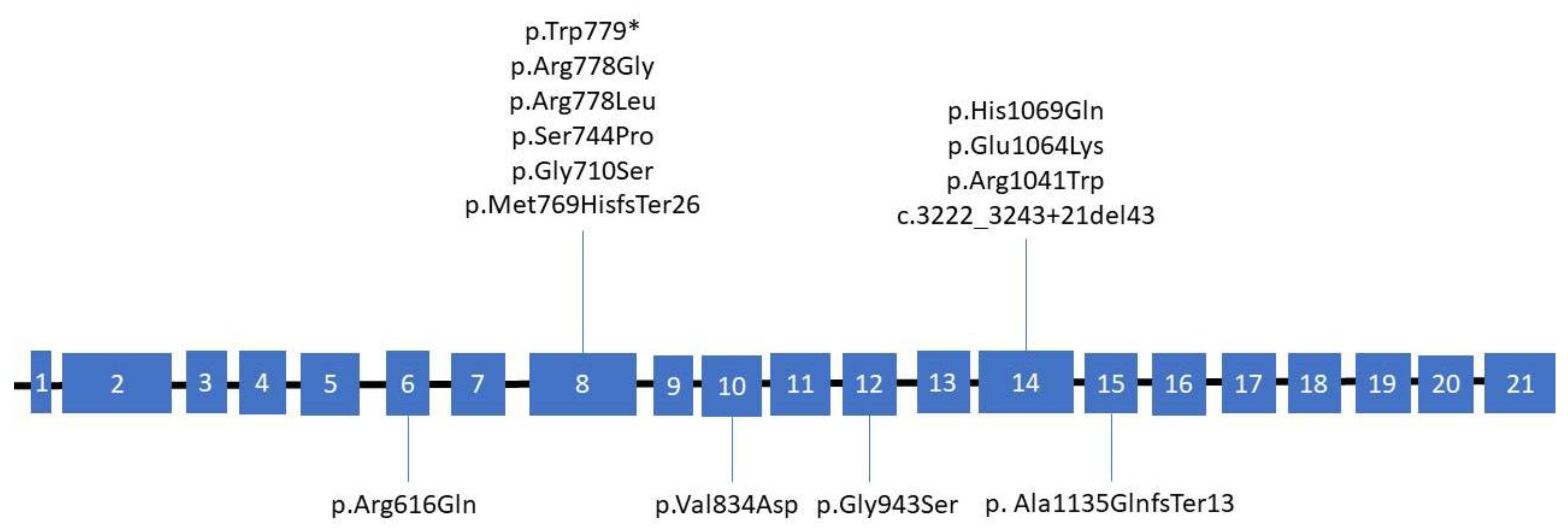 Genes 13 01940 g001