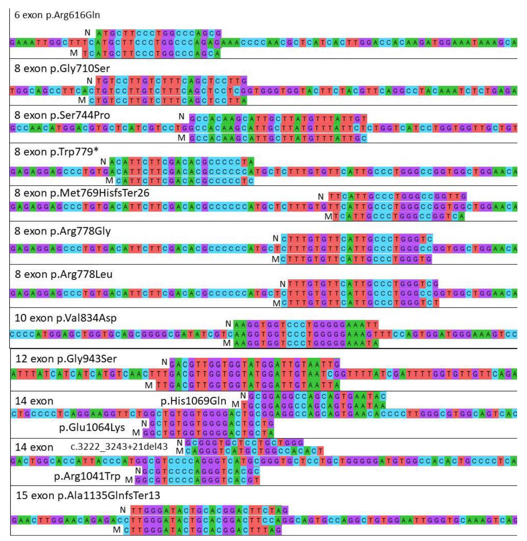 Genes 13 01940 g002