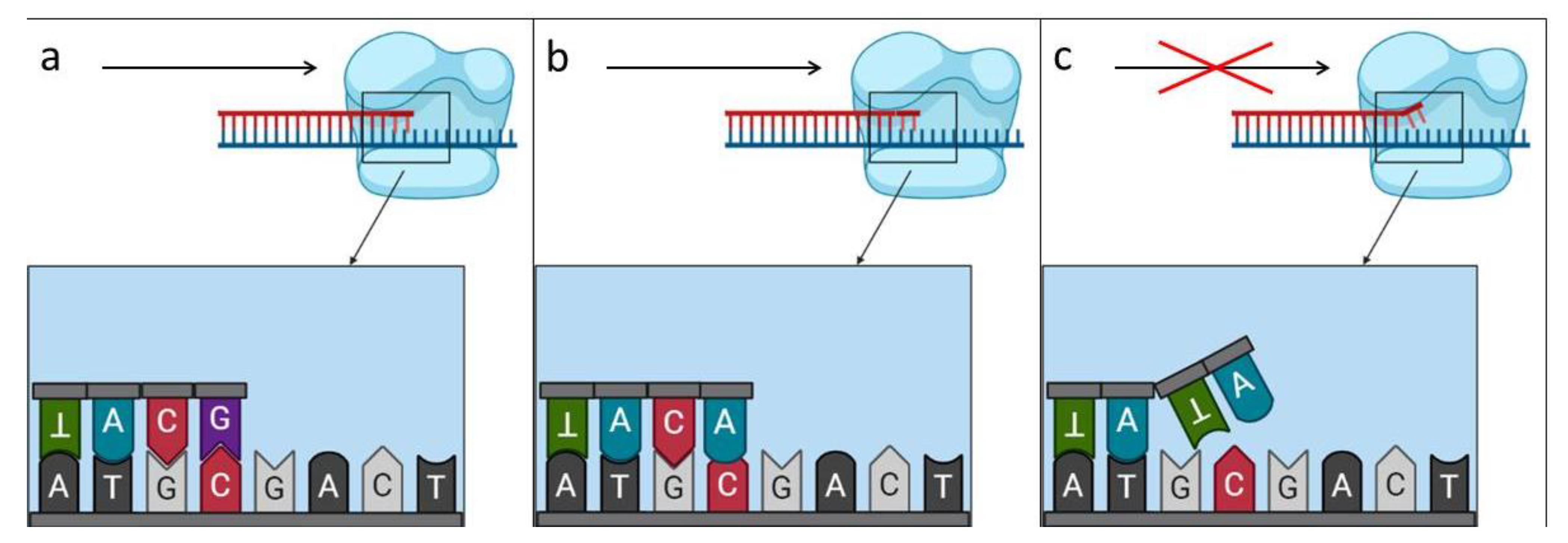 Genes 13 01940 g003