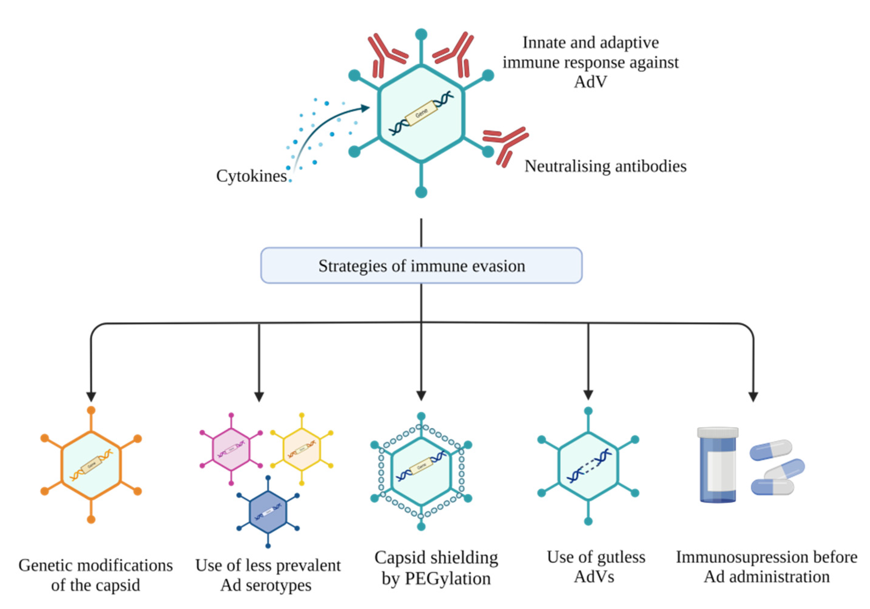 Genes 13 01941 g001 Genes 13 01941 g001