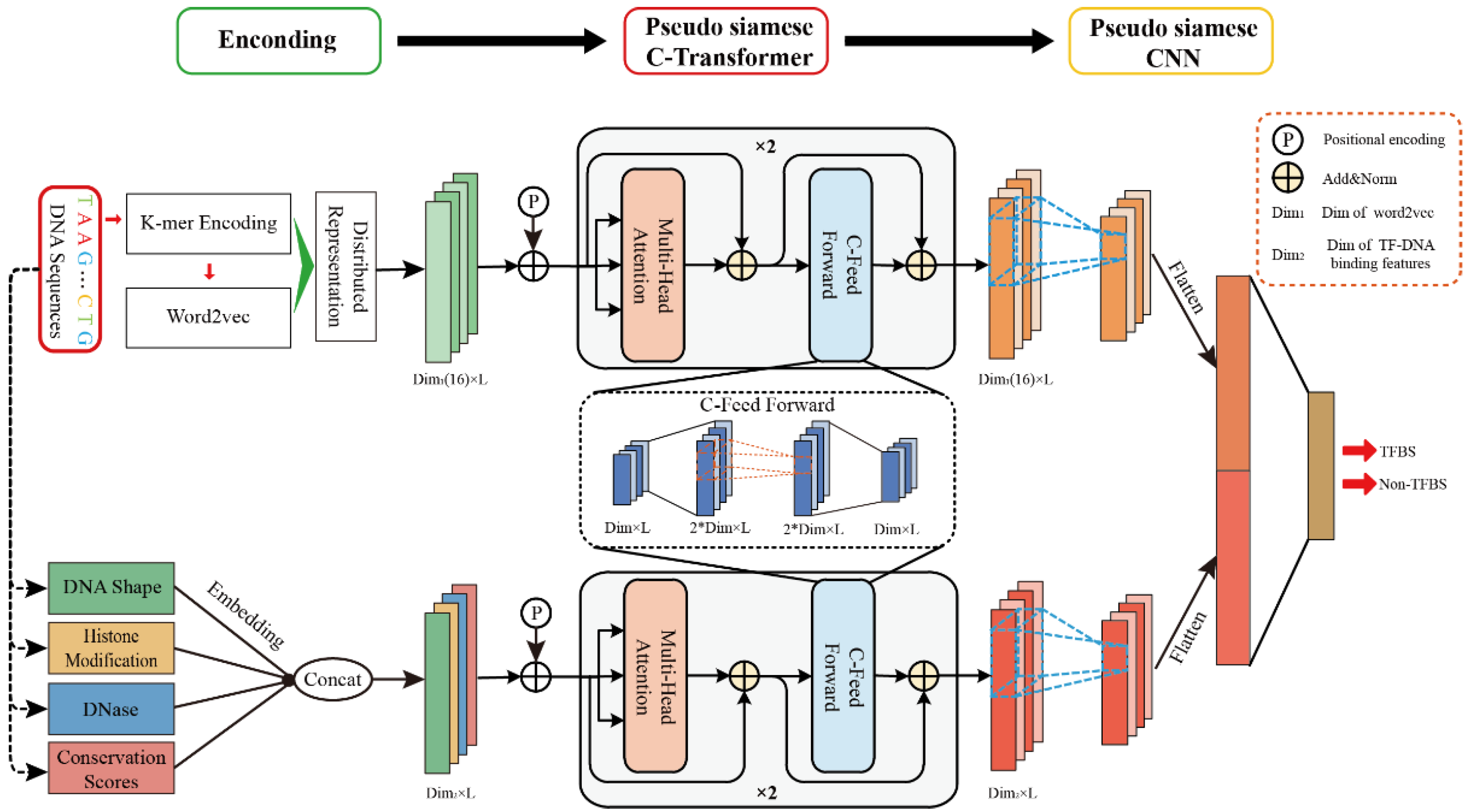 Genes 13 01952 g002 Genes 13 01952 g002