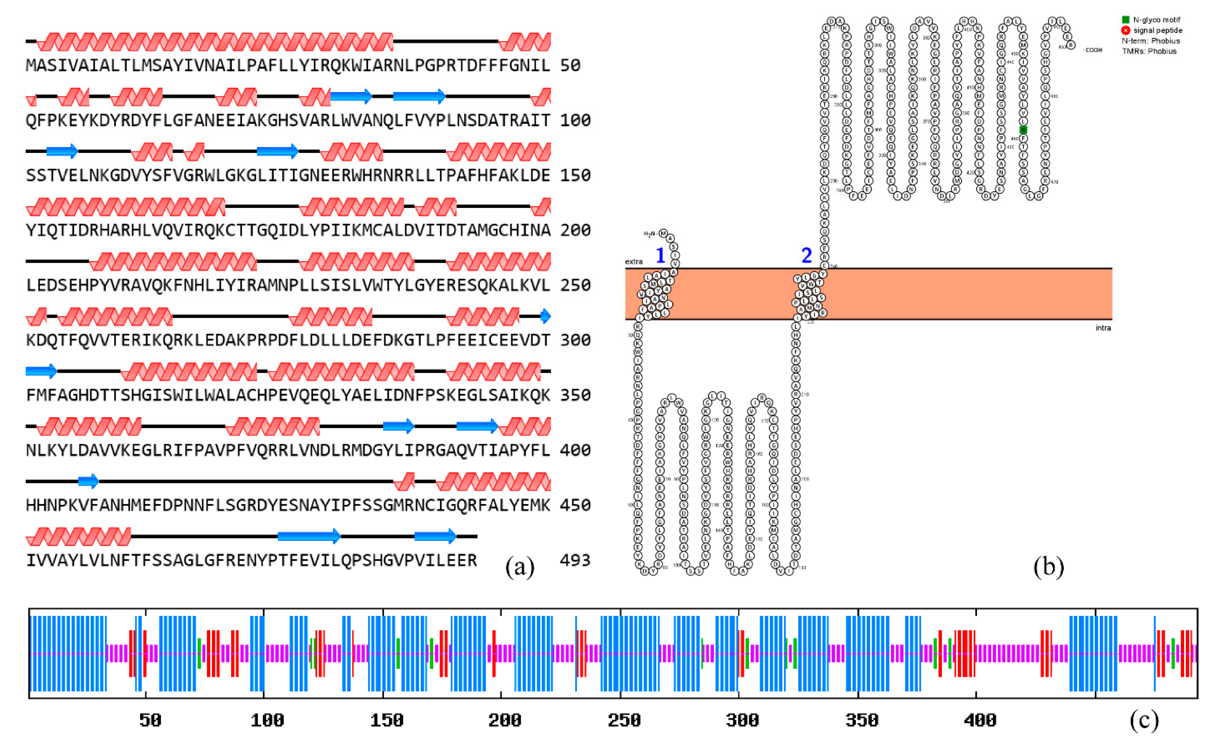 Genes 13 01956 g003 Genes 13 01956 g003