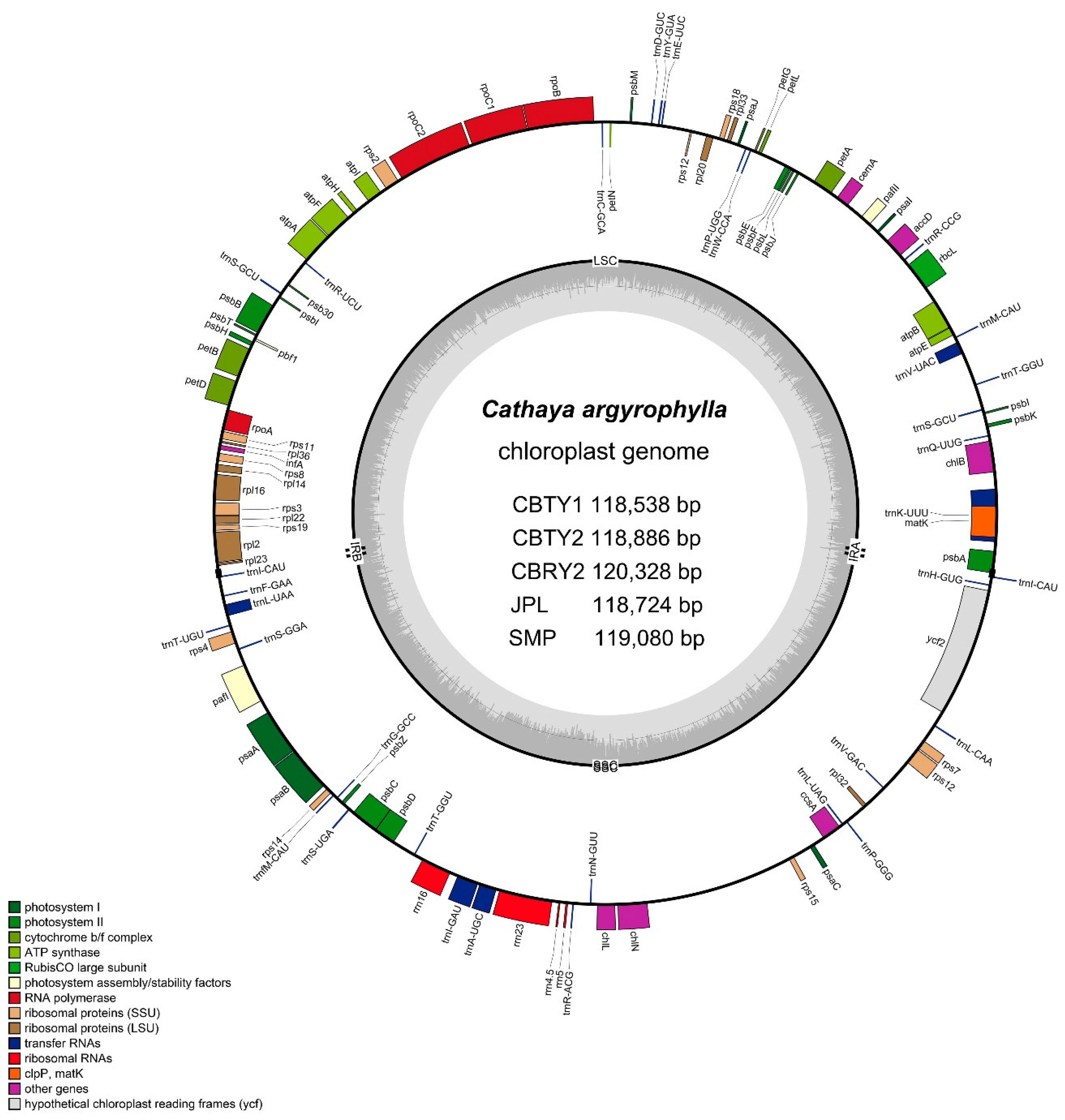 Genes 13 01963 g002
