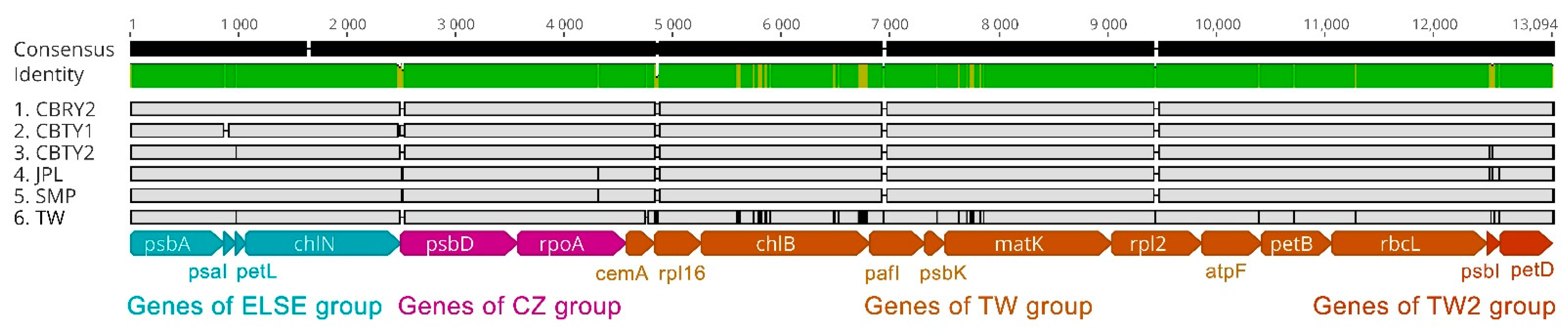 Genes 13 01963 g005