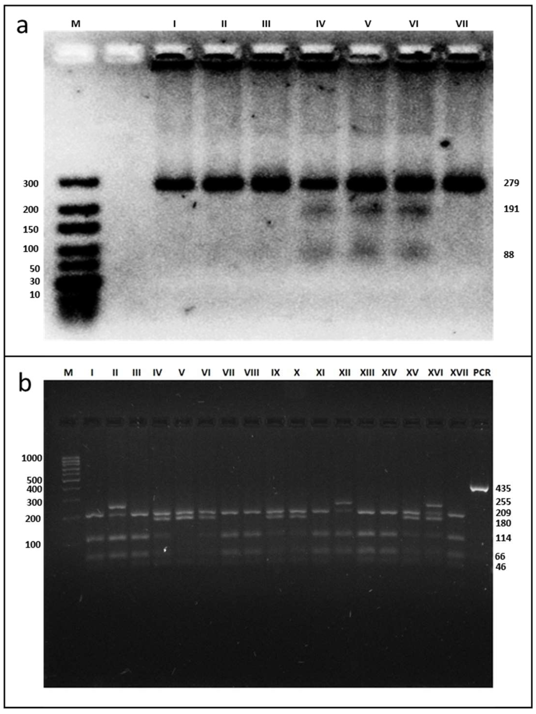 Genes 13 01968 g001 Genes 13 01968 g001