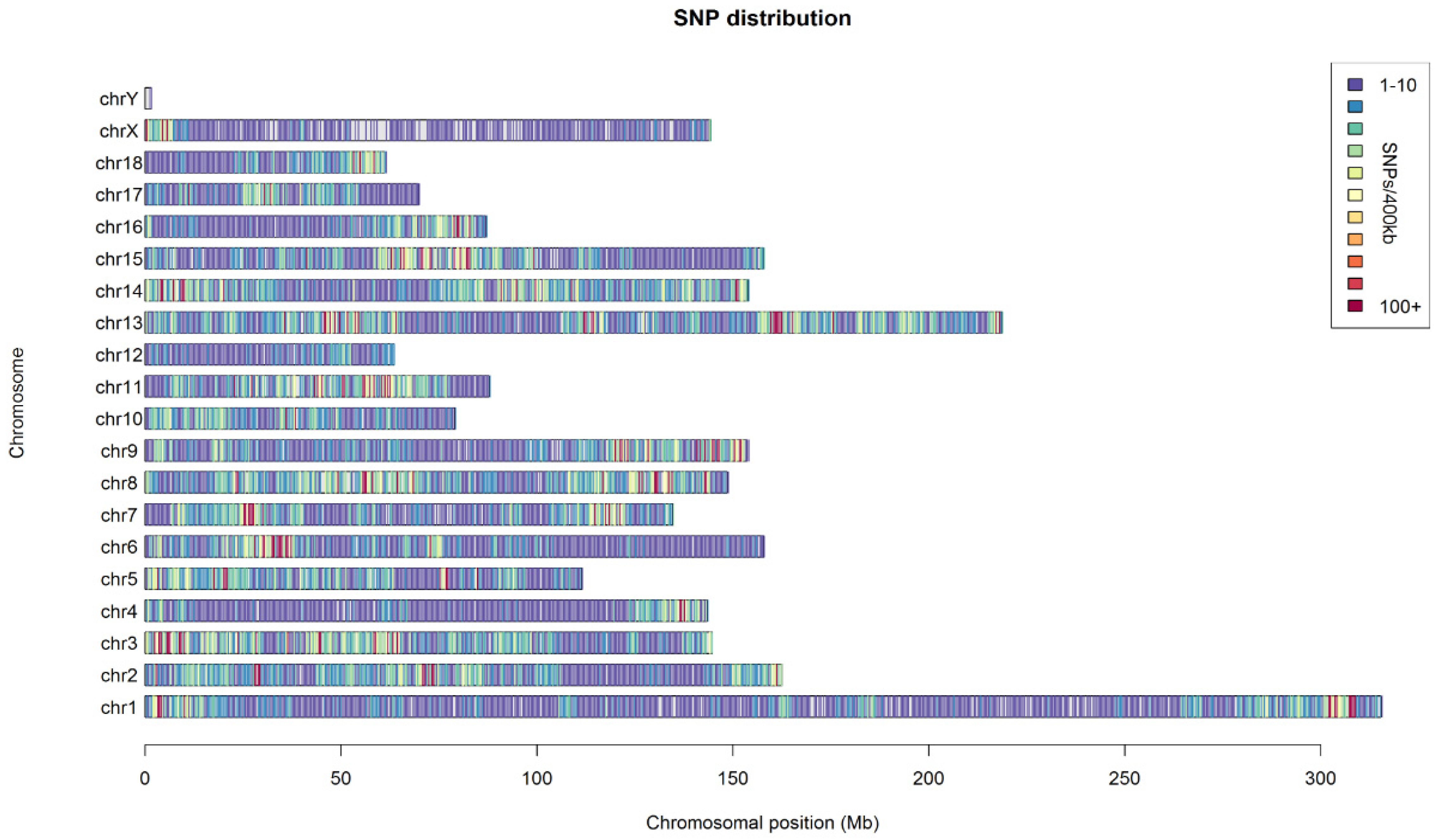 Genes 13 01969 g001