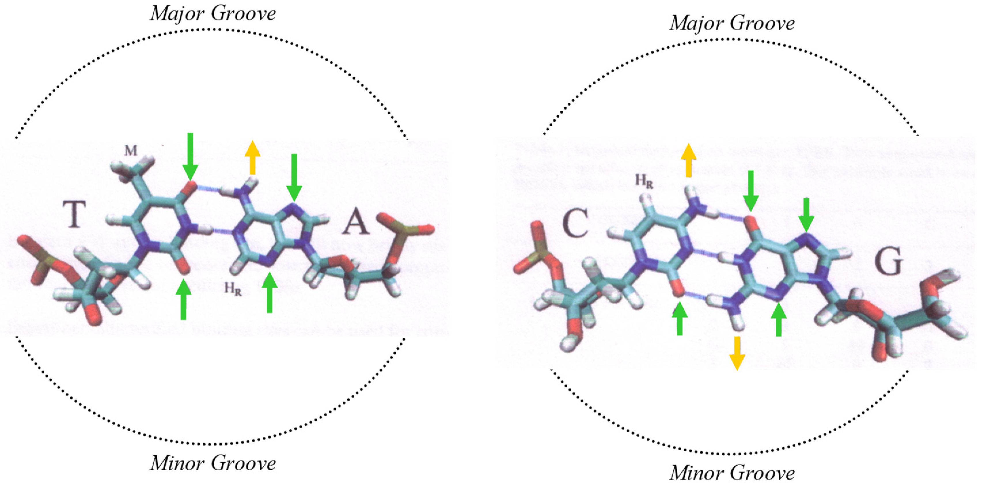 Genes 13 01970 g001 Genes 13 01970 g001