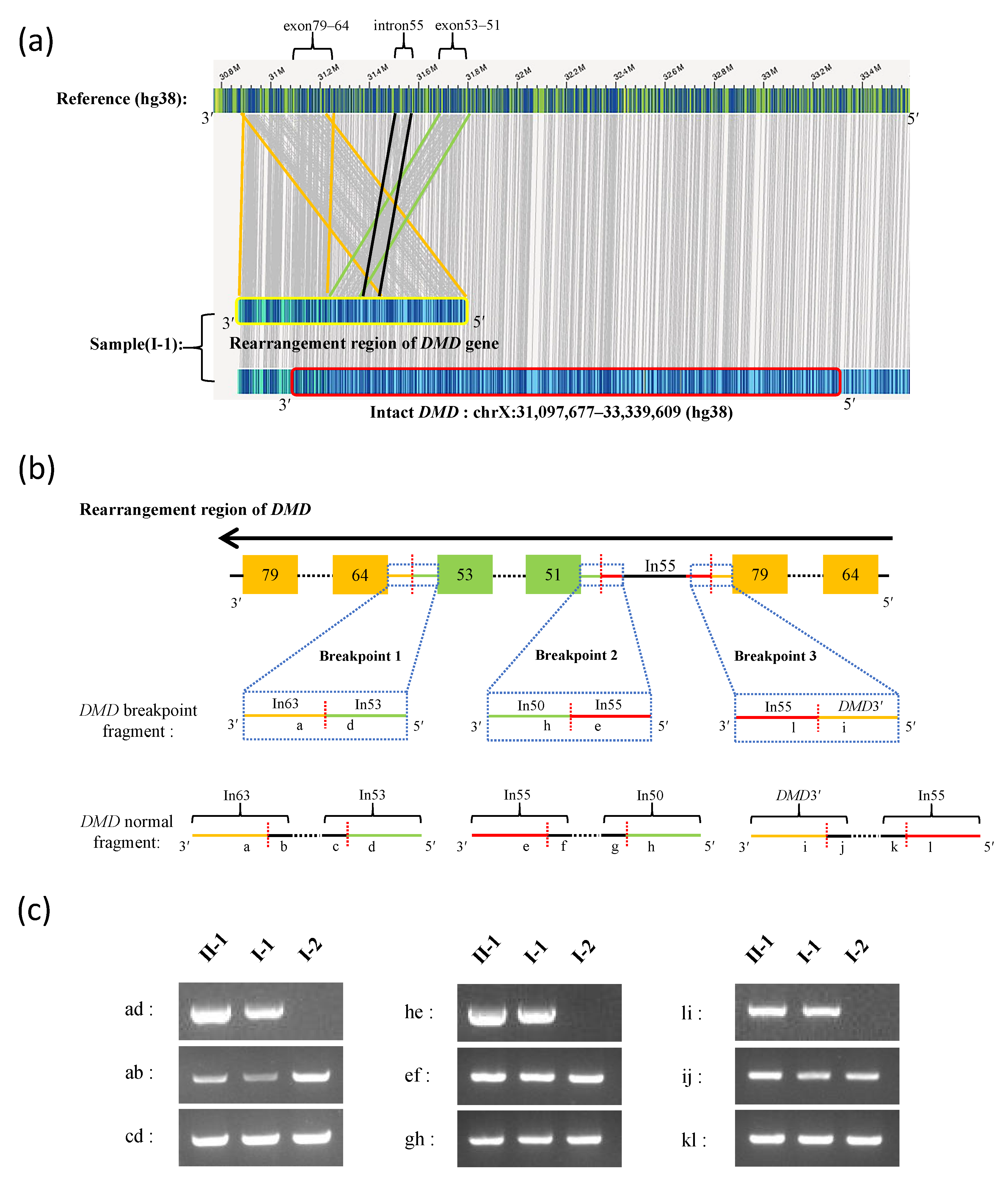 Genes 13 01972 g002