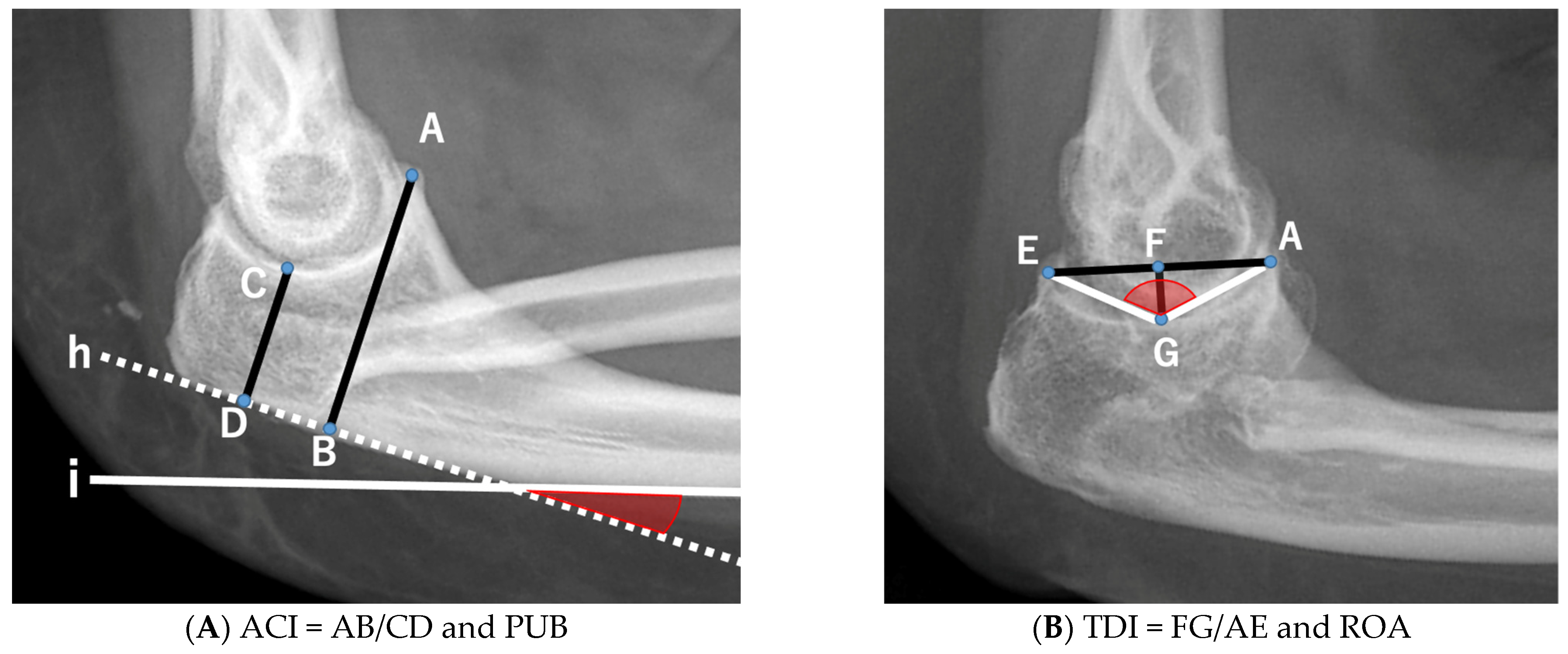Genes 13 01978 g001 Genes 13 01978 g001