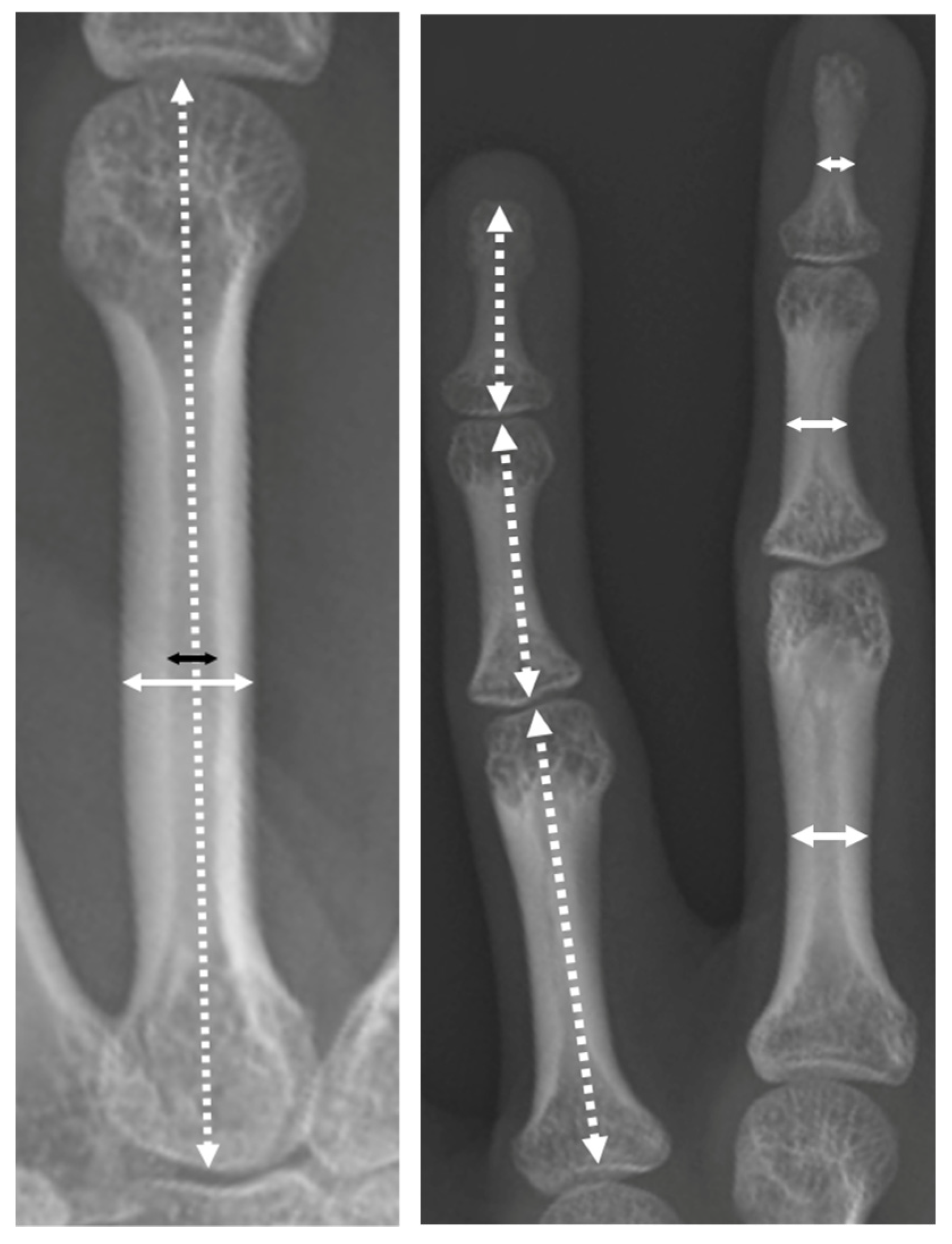 Genes 13 01978 g003 Genes 13 01978 g003
