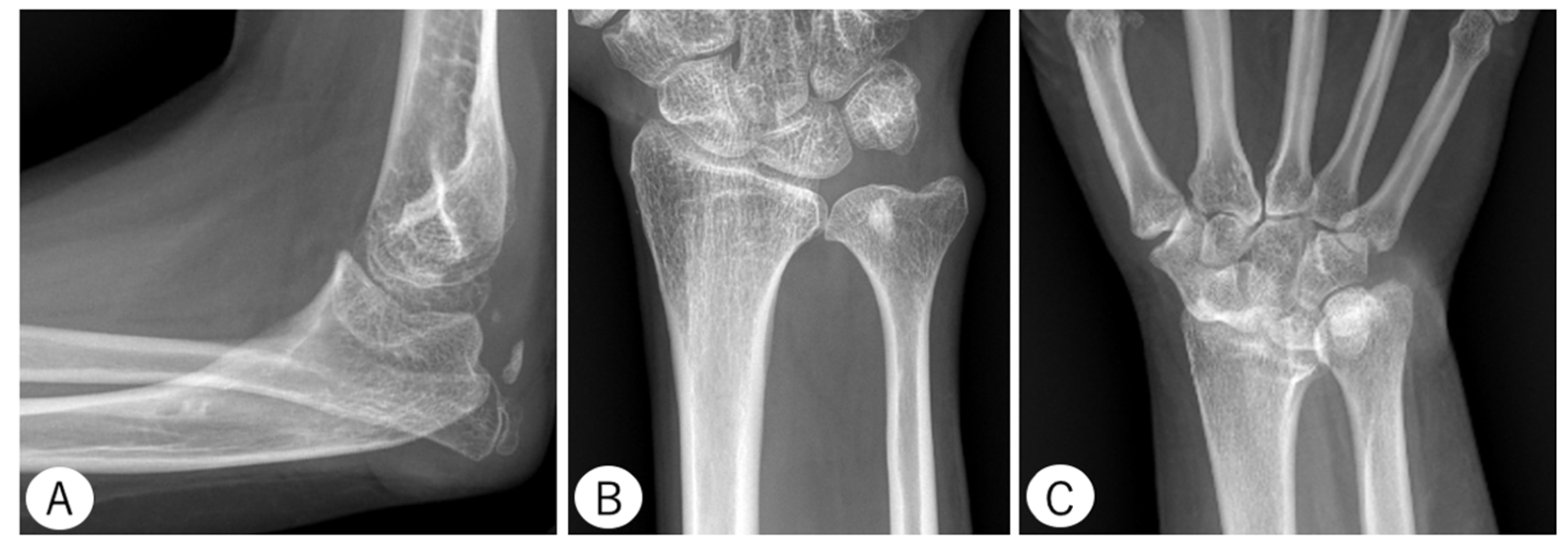 Genes 13 01978 g004 Genes 13 01978 g004