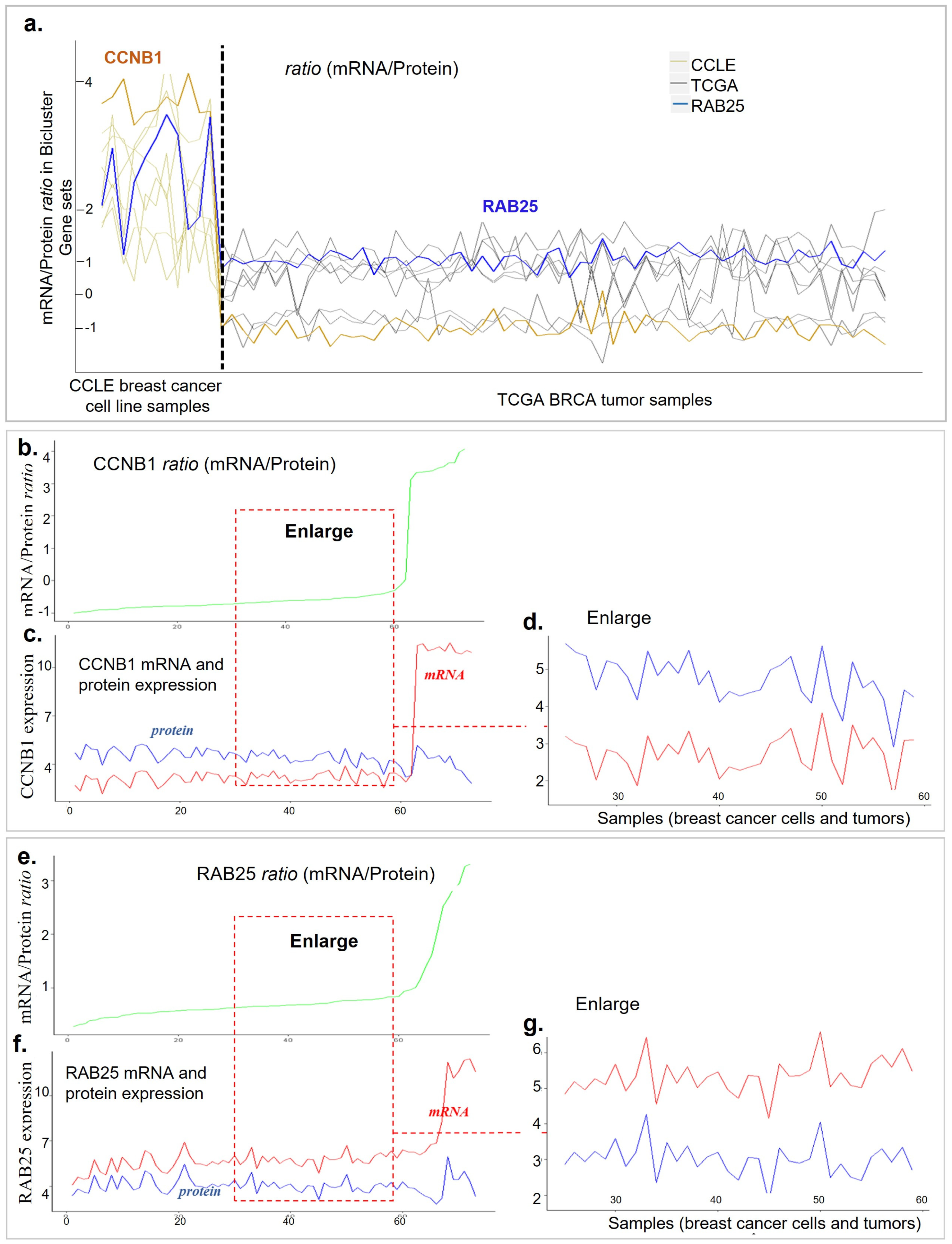 Genes 13 01982 g006